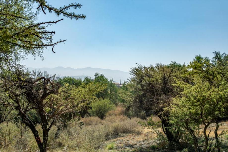 Vista los Picachos, San Miguel de Allende, Guanajuato, 37892, Mexico, 1 Bedroom Bedrooms, ,Residential,For Sale,Vista los Picachos,1672105