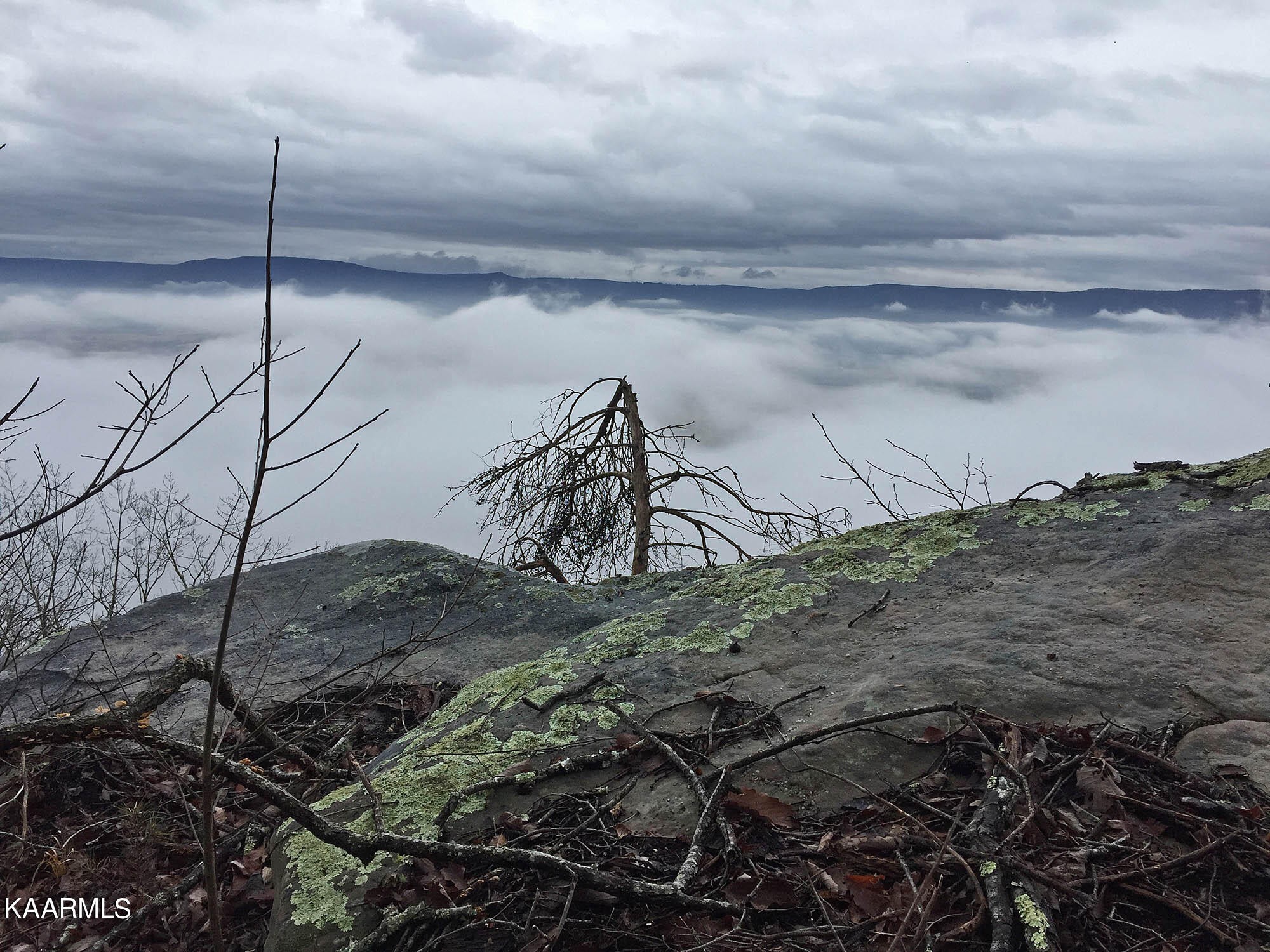 Pikeville, Tennessee, 37367, United States, ,Residential,For Sale,1943070