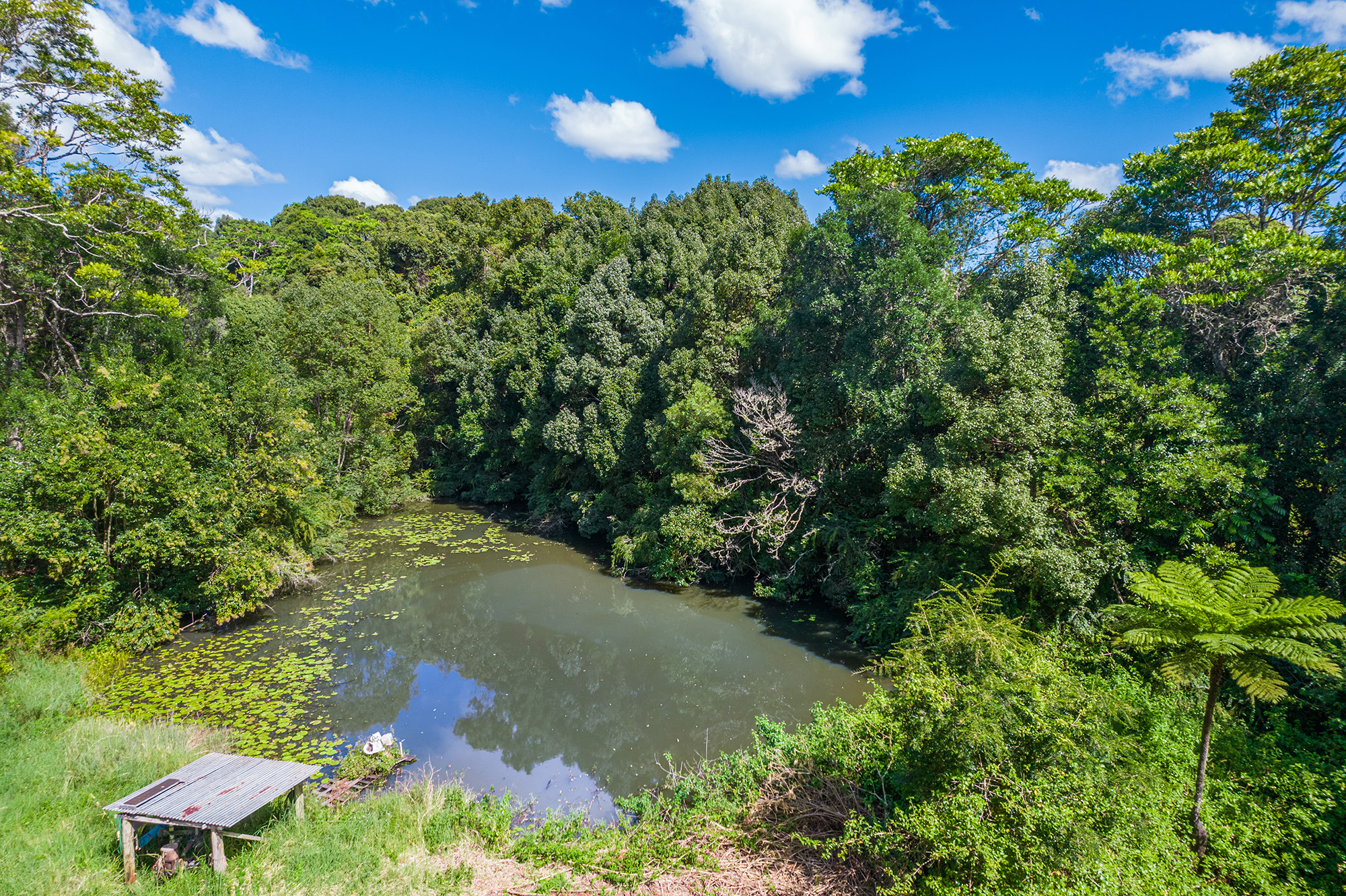  71 Cooks Road, Nashua - 物件實景