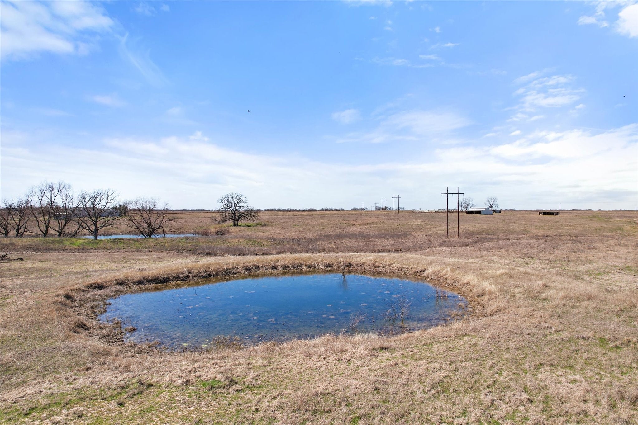 Frost, Texas, 76641, United States, ,Land,For Sale,1978385