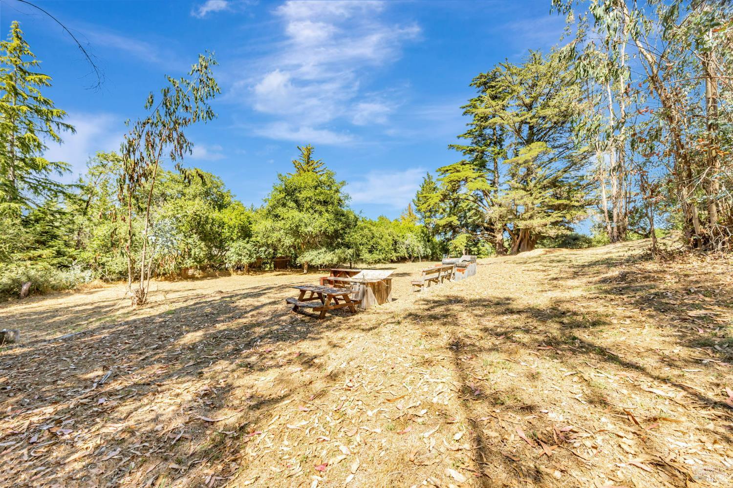 Sebastopol, California, 95472, United States, 3 Bedrooms Bedrooms, ,3 BathroomsBathrooms,Residential,For Sale,1903540