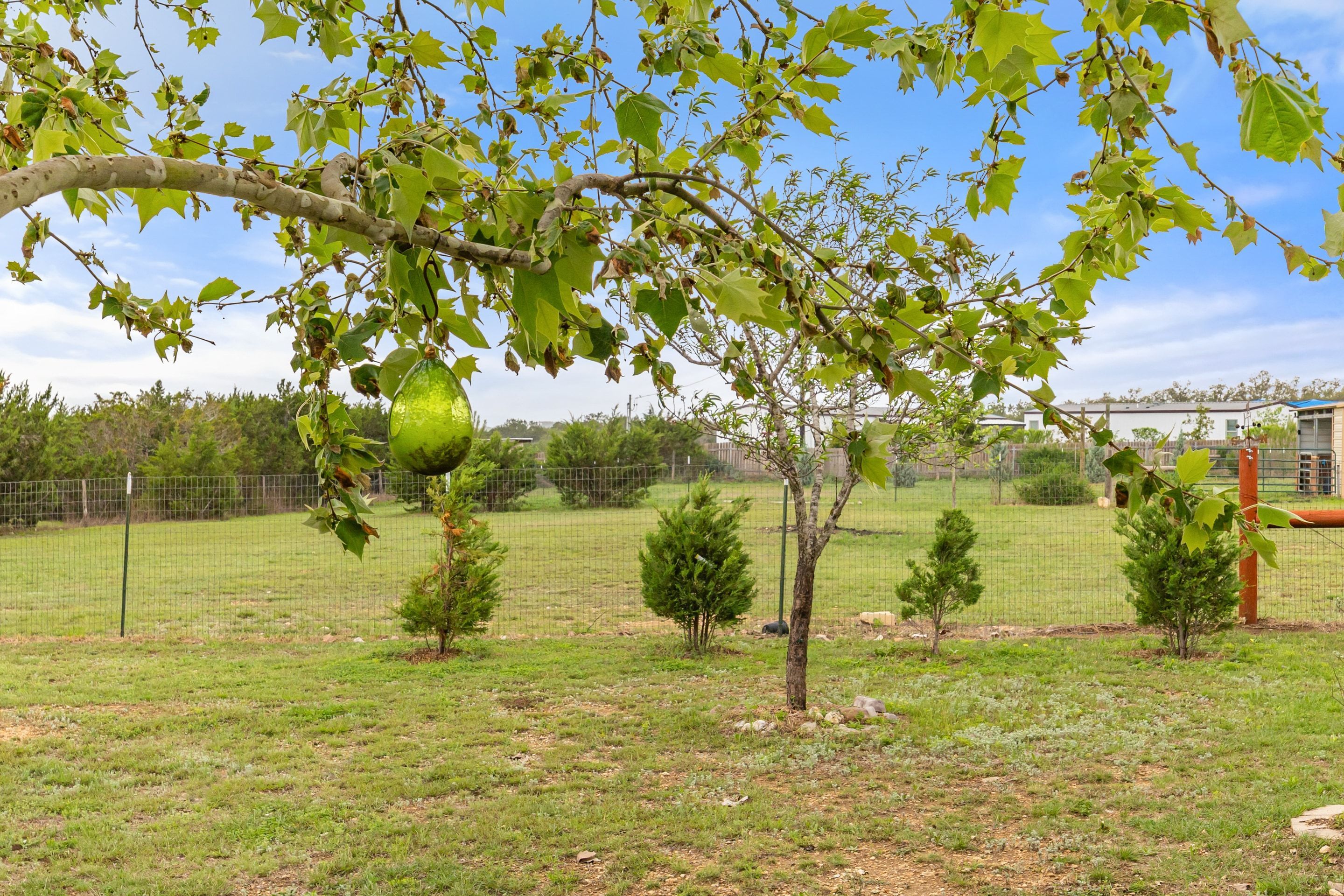  Beautiful Dripping Springs 1-Story on 2 Level Acres with Barn in Chama Trace - 物件實景