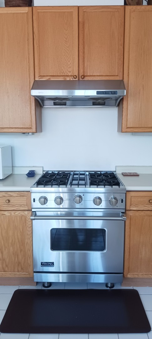Chicago, Illinois, 60615, United States, 3 Bedrooms Bedrooms, ,3 BathroomsBathrooms,Residential,For Sale,2034443