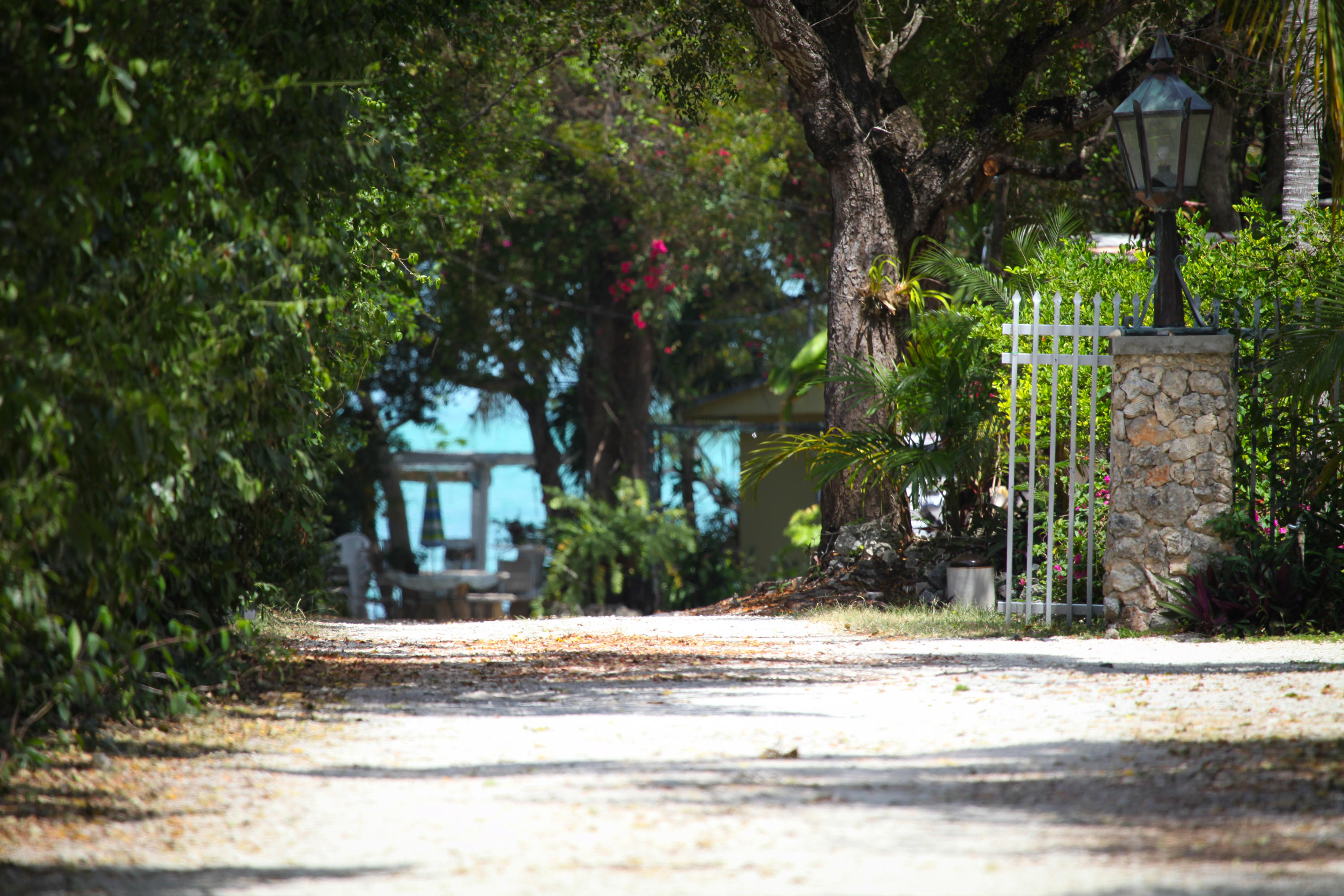 KEY LARGO, Florida, 33037, United States, 10 Bedrooms Bedrooms, ,9 BathroomsBathrooms,Residential,For Sale,1993450