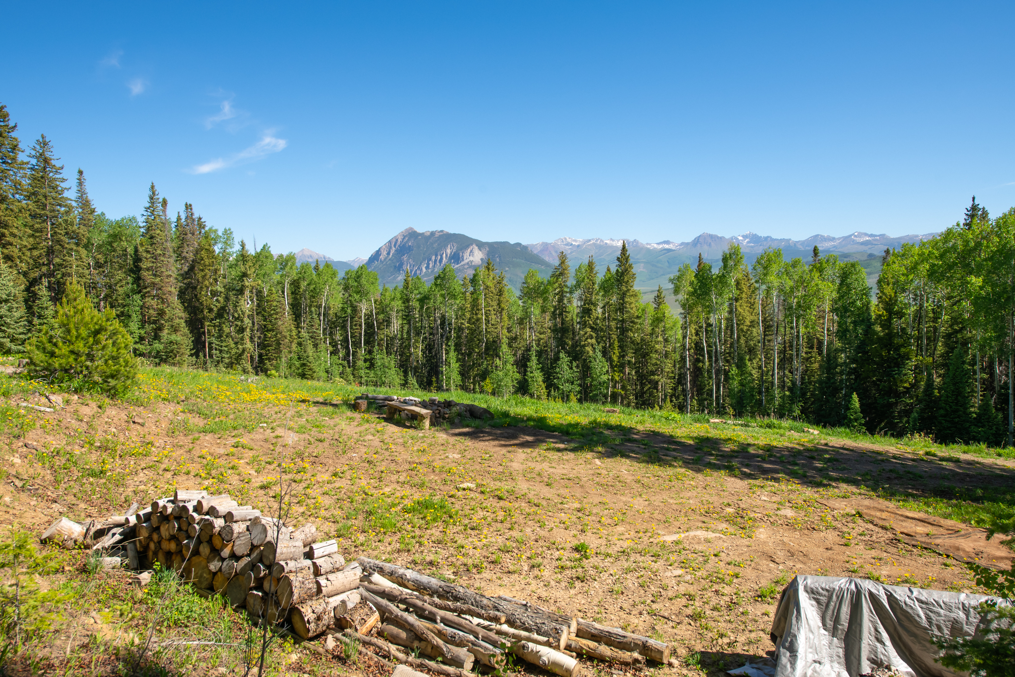  141 White Buffalo Trail, Crested Butte, CO, 81224 - 物件實景