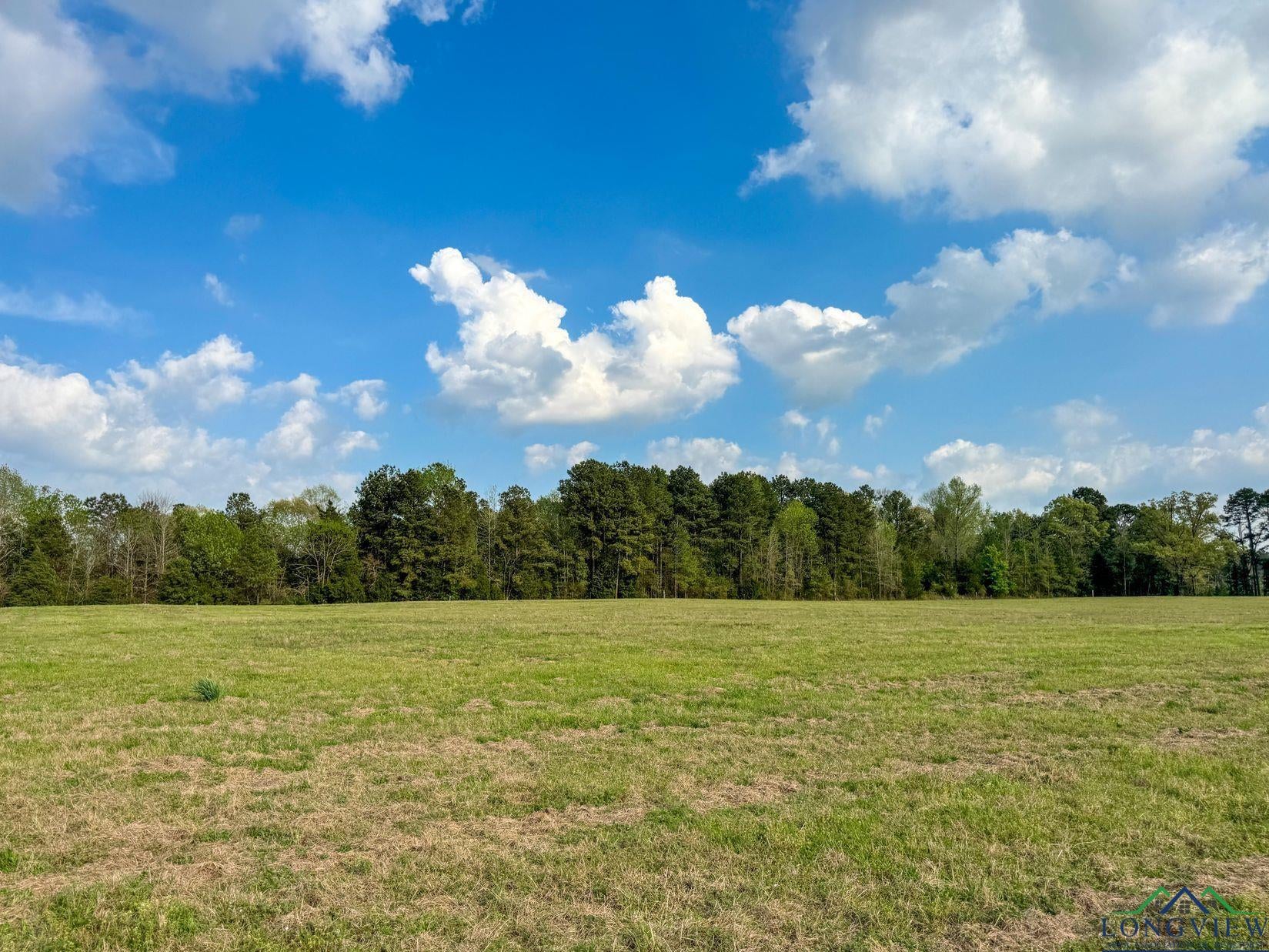 Atlanta, Texas, 75551, United States, ,Residential,For Sale,1810626