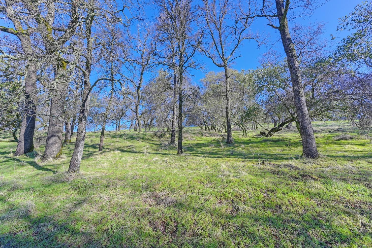 El Dorado Hills, California, 95762, United States, ,Land,For Sale,1994475