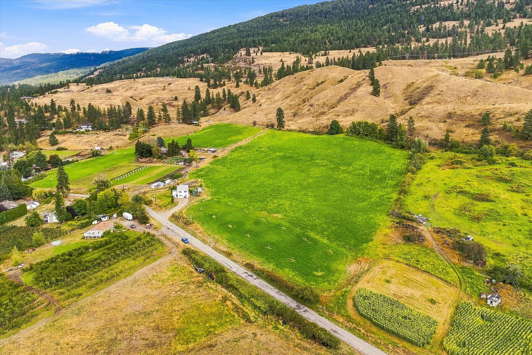  Productive Farmland in Oyama - 物件實景