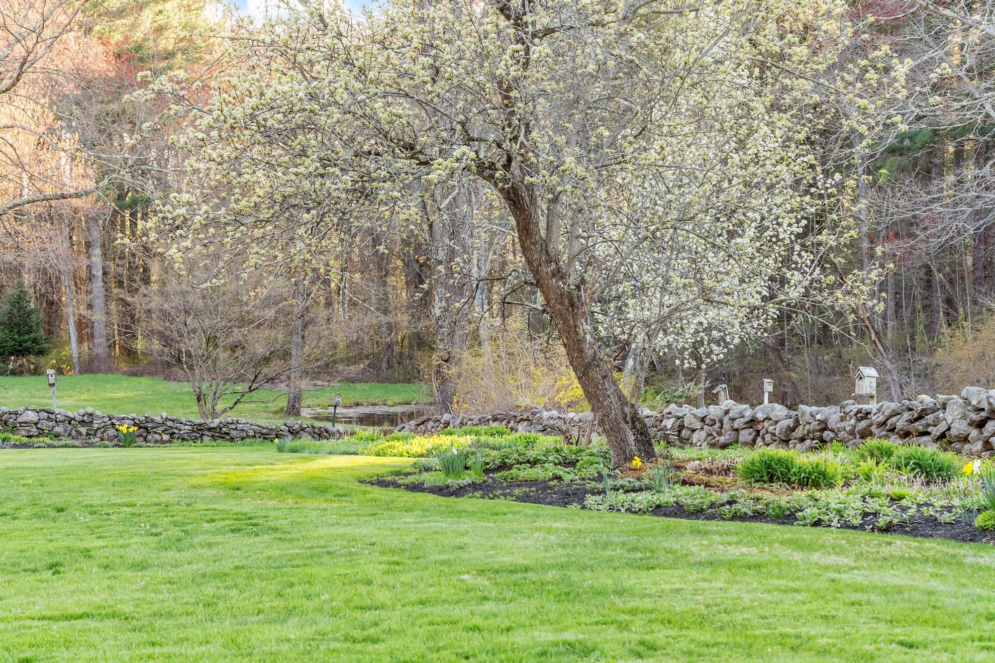  322 West Street, Carlisle, MA 01741 - 物件實景
