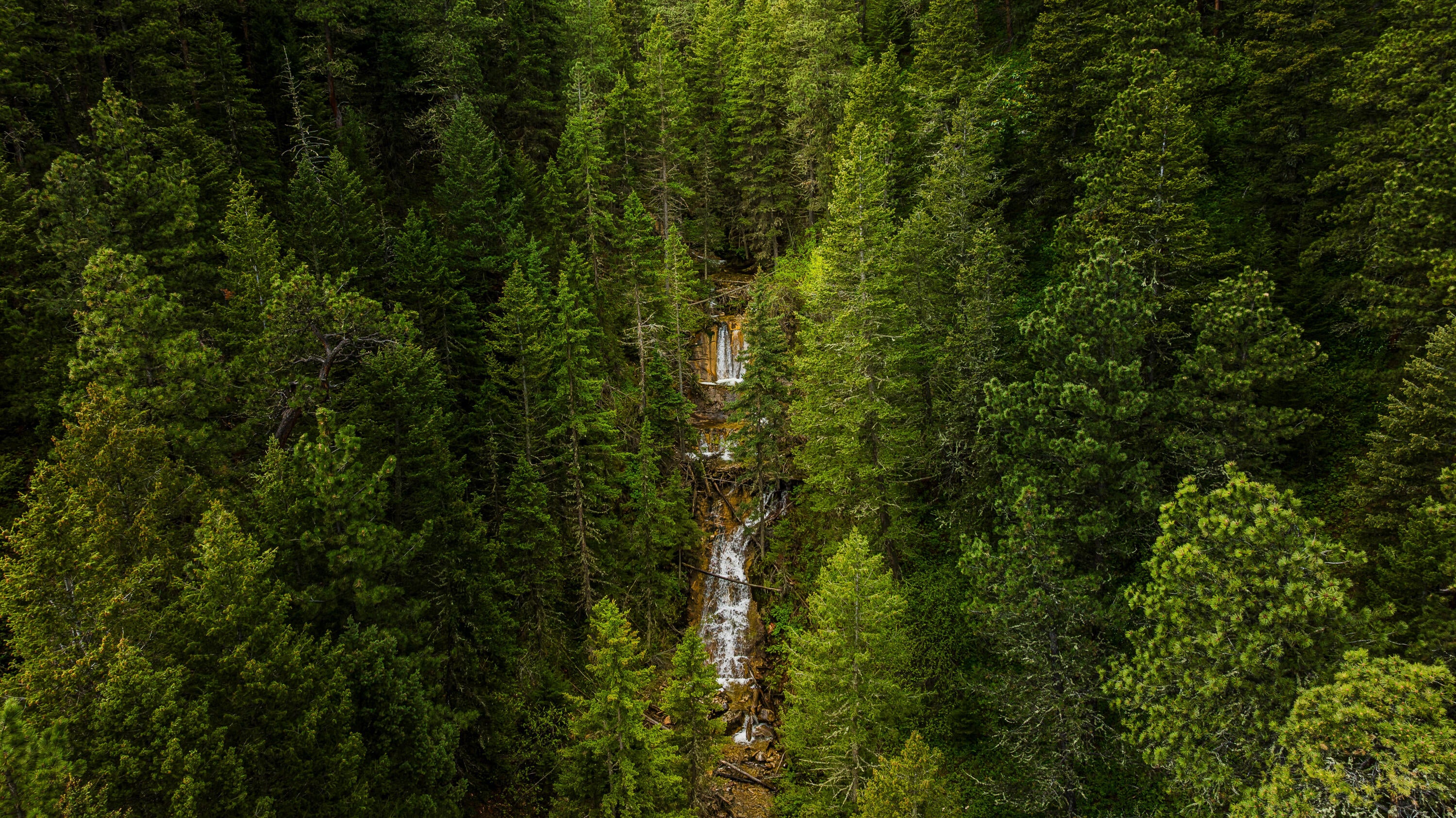 Big Horn, Wyoming, 82833, United States, ,Residential,For Sale,2011314