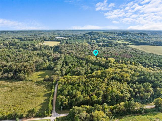 Town Creek, Alabama, 35672, United States, ,Land,For Sale,1954669