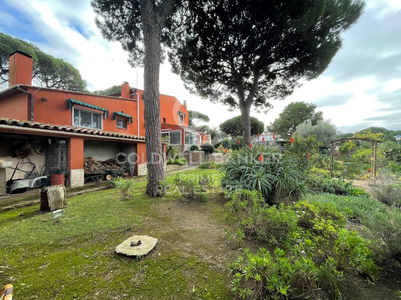 Girona, Palafrugell, Calella Girona, Palafrugell, Palafrugell, Catalonia, ES, 5 Bedrooms Bedrooms, ,3 BathroomsBathrooms,Residential,For Sale,Girona, Palafrugell, Calella Girona, Palafrugell, ,1448958