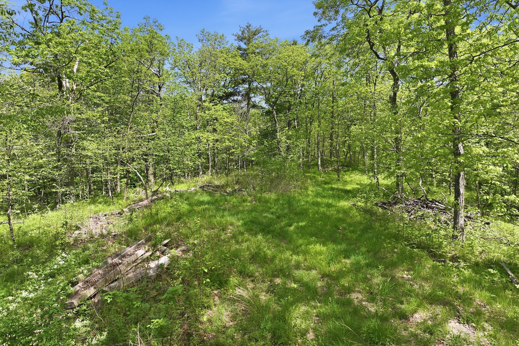  189 Shagbark Lane - 物件實景