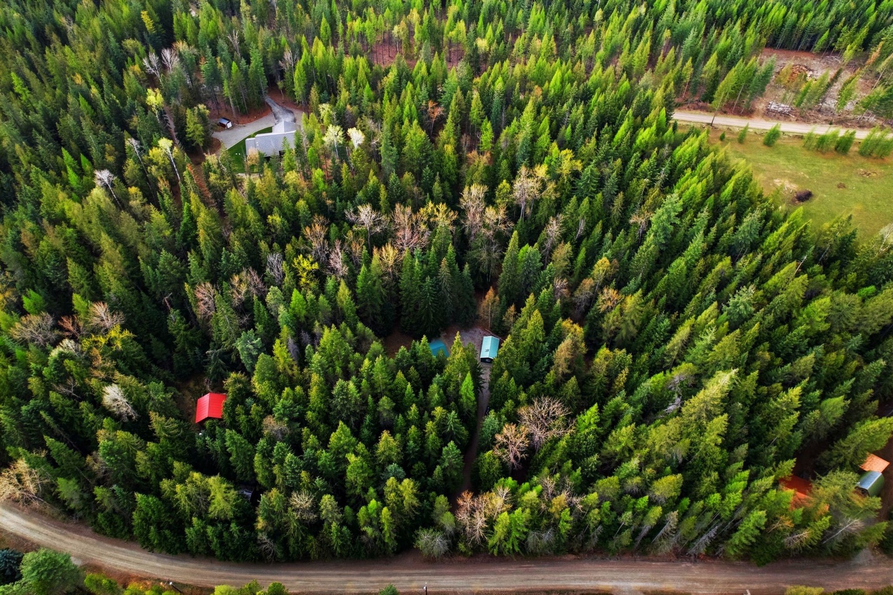  354 Fall Creek Road - 物件實景