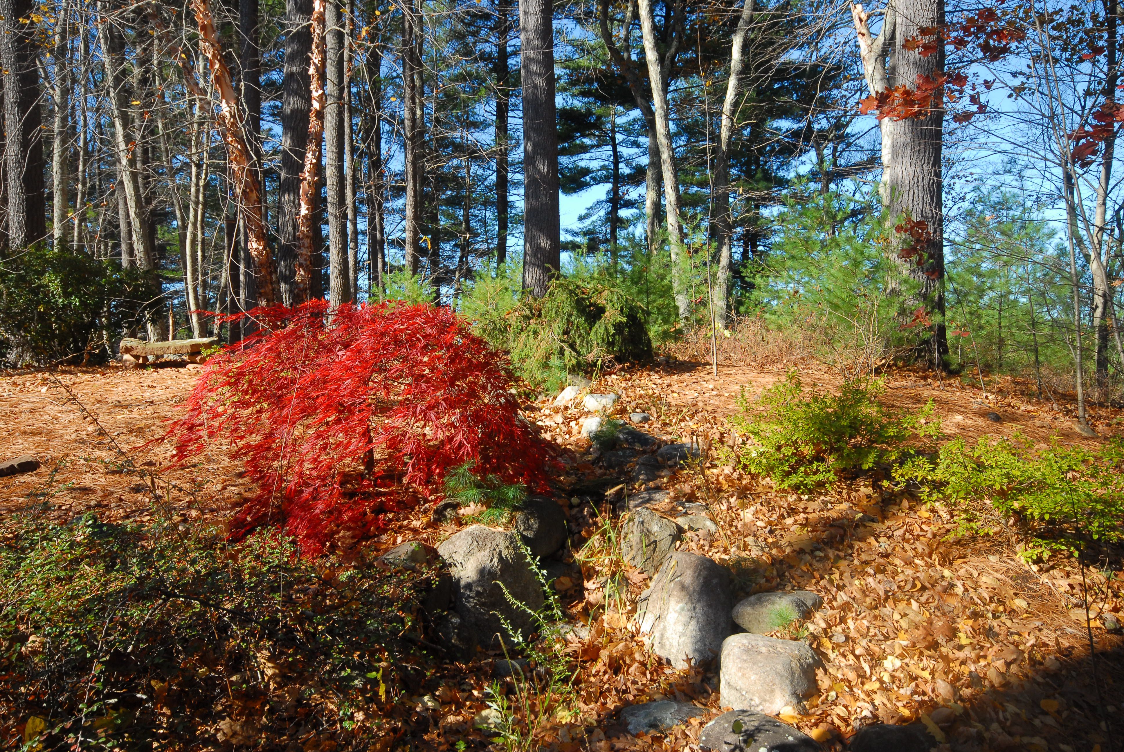  96 Forest Ridge Road, Concord, MA 01742 - 物件實景