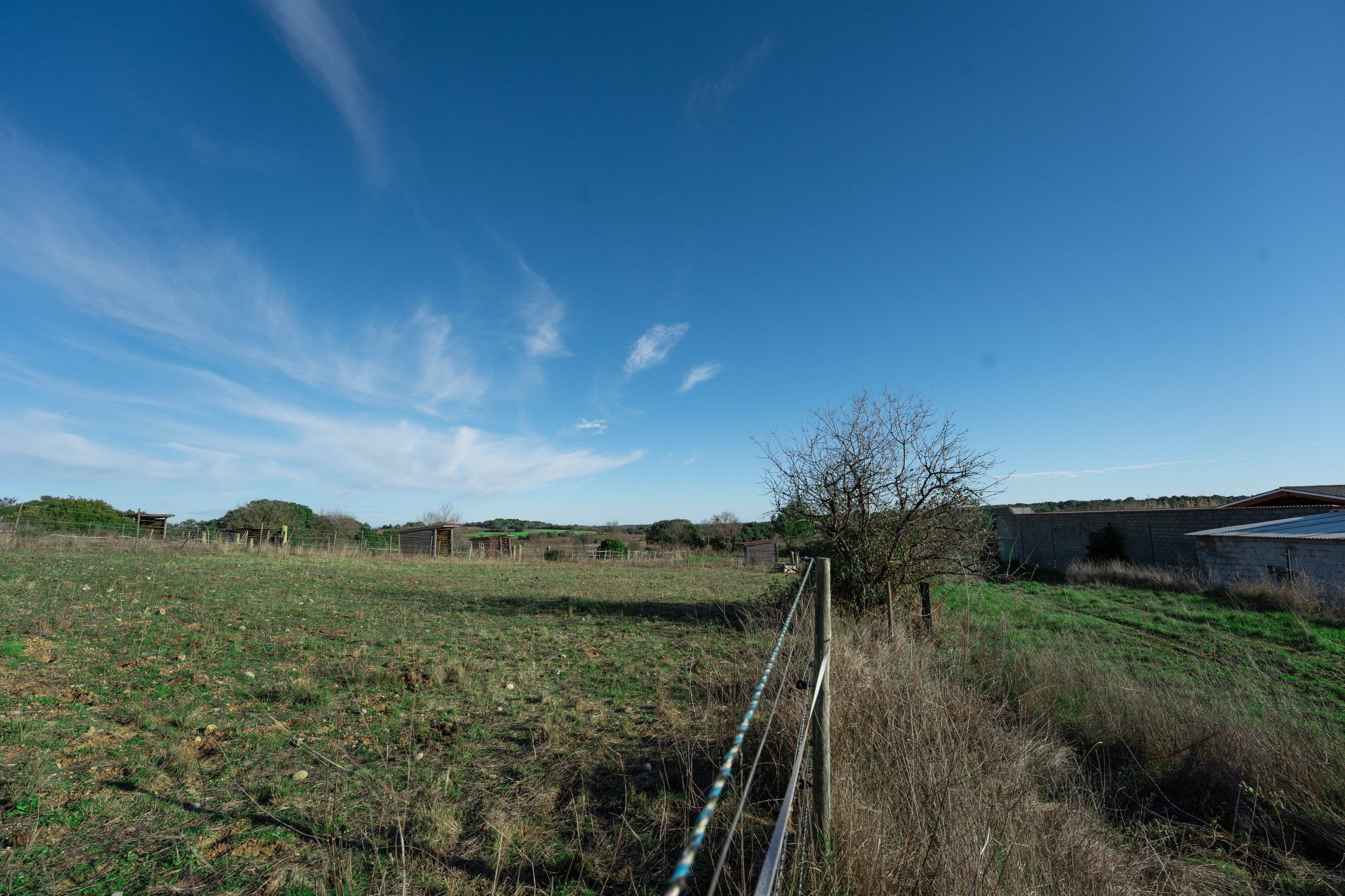  Equestrian excellence in a preserved natural setting - 物件實景