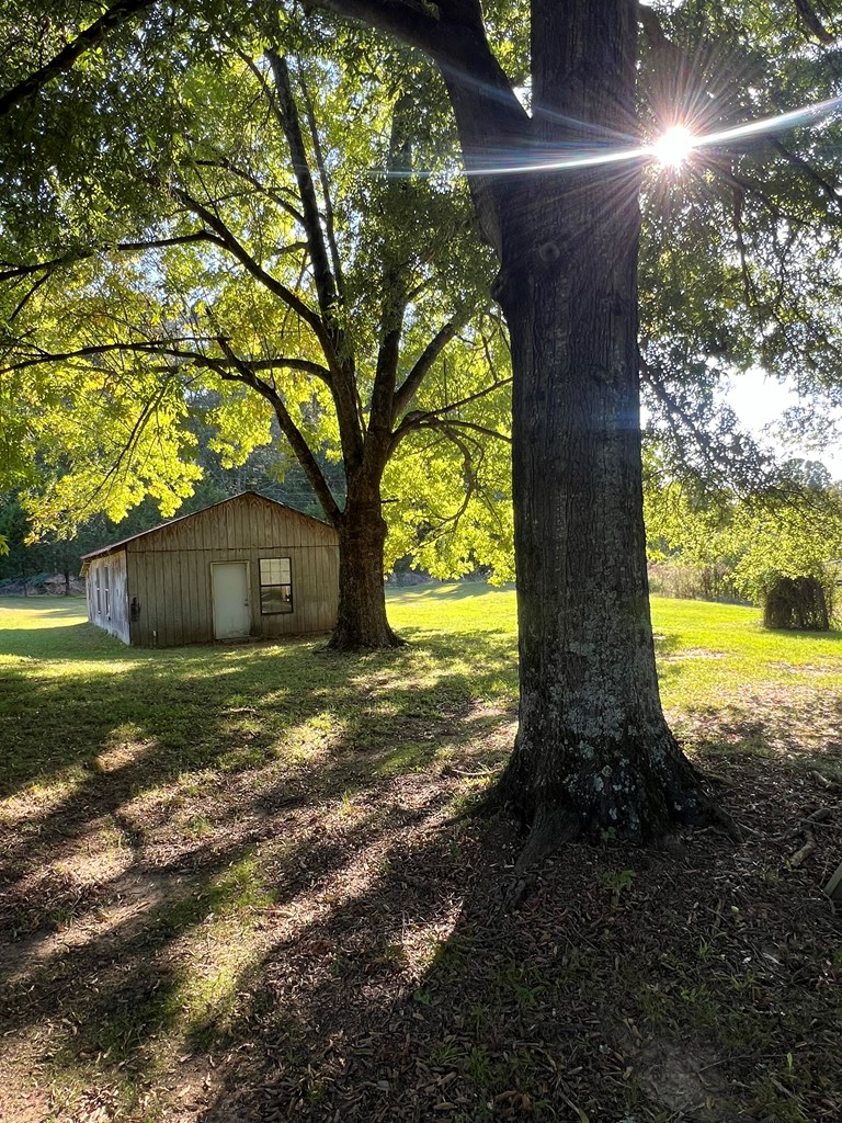 26 Cr 313, OXFORD, Mississippi, 38655, United States, 4 Bedrooms Bedrooms, ,3 BathroomsBathrooms,Residential,For Sale,26 Cr 313,1640697