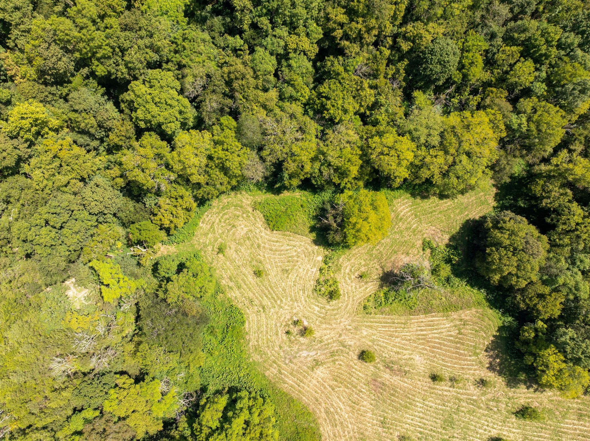 Celina, Tennessee, 38551, United States, ,Land,For Sale,1977132