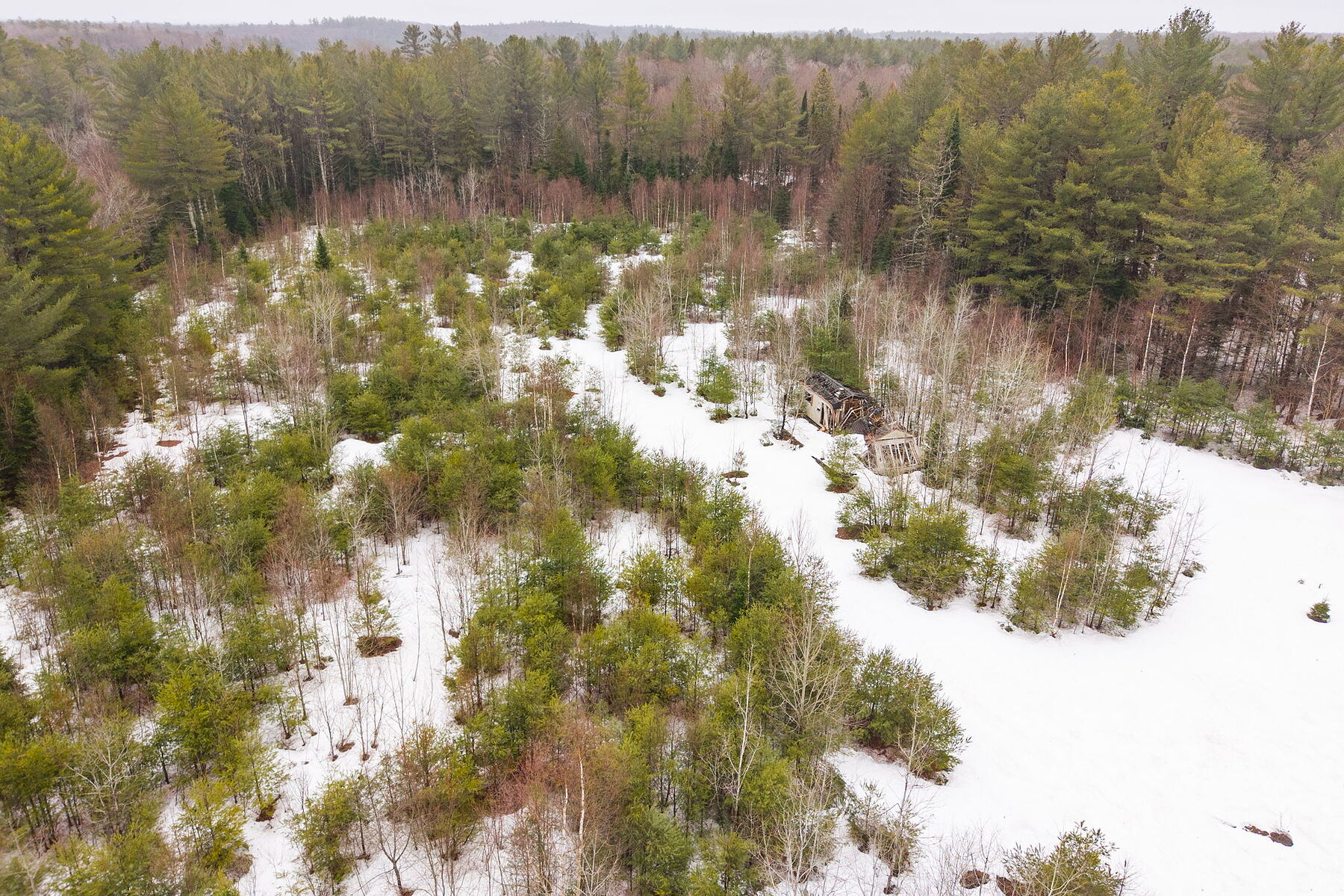 A Rare Muskoka Land Offering - 物件實景