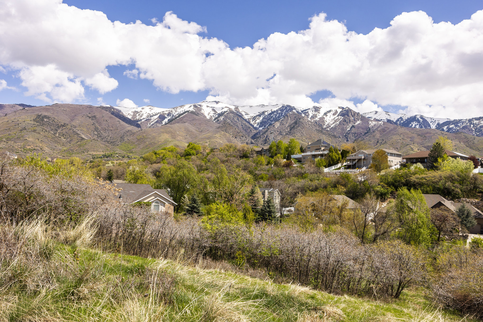  1.47 Acre Lot In East Layton With Endless Possibilities - 物件實景