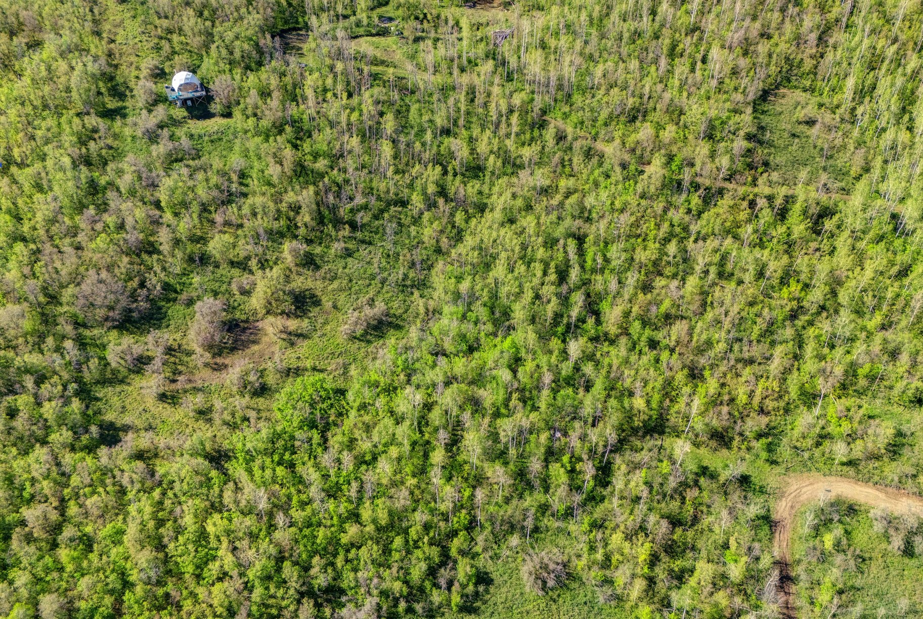  Wooded 5 acres No HOA - 物件實景