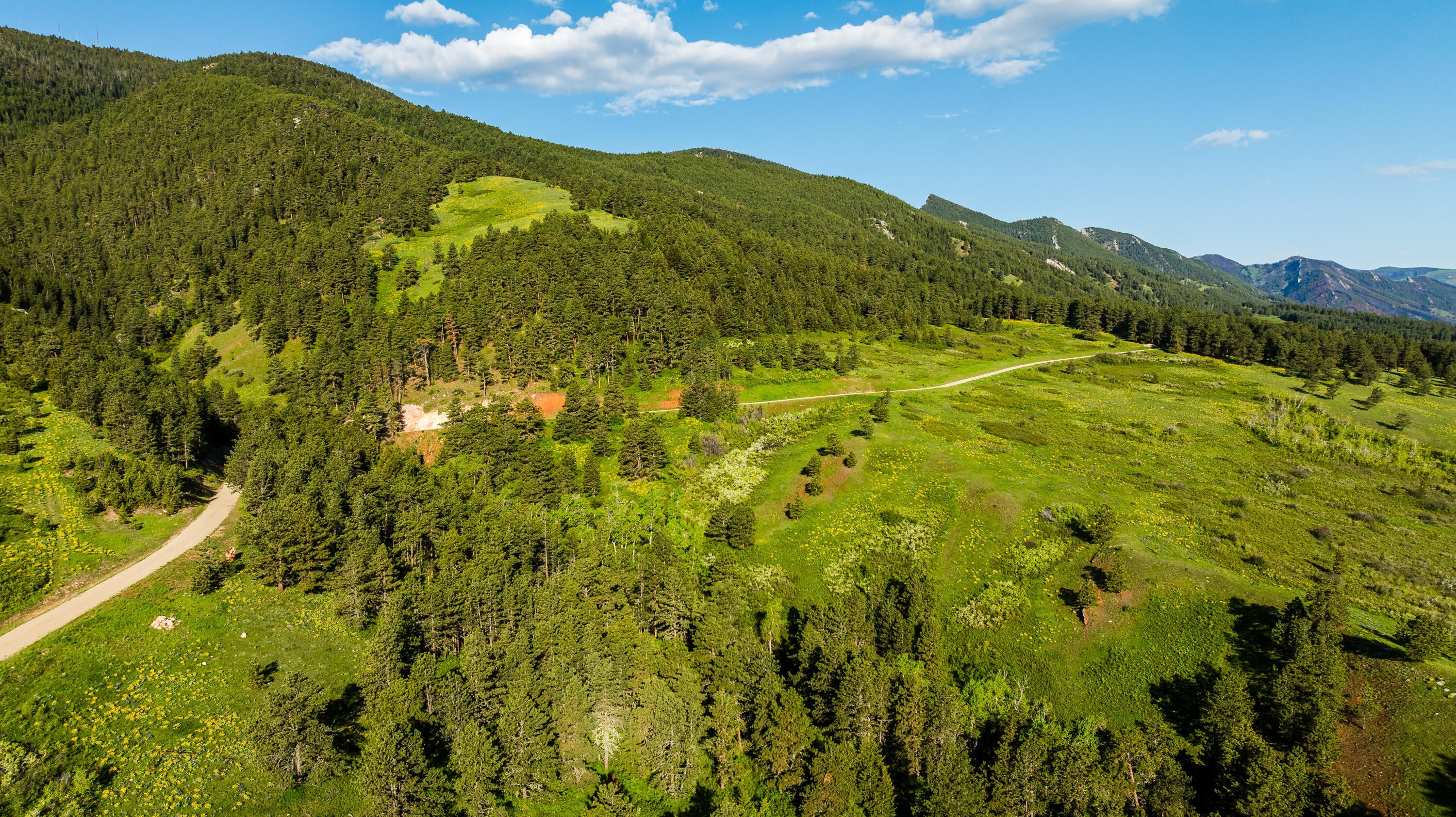 Big Horn, Wyoming, 82833, United States, ,Residential,For Sale,2011314