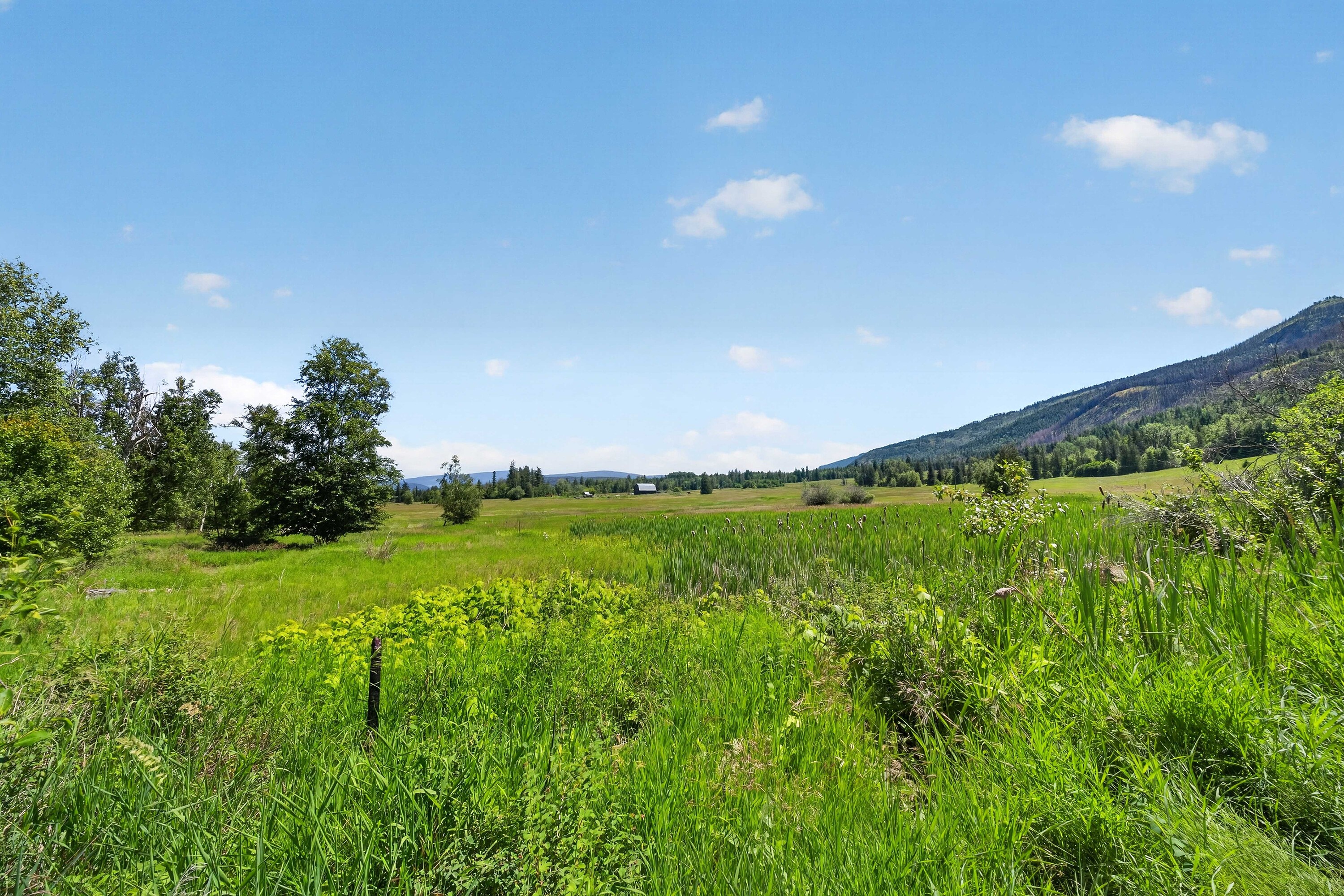  158 Acre Lakeview Homestead - 物件實景
