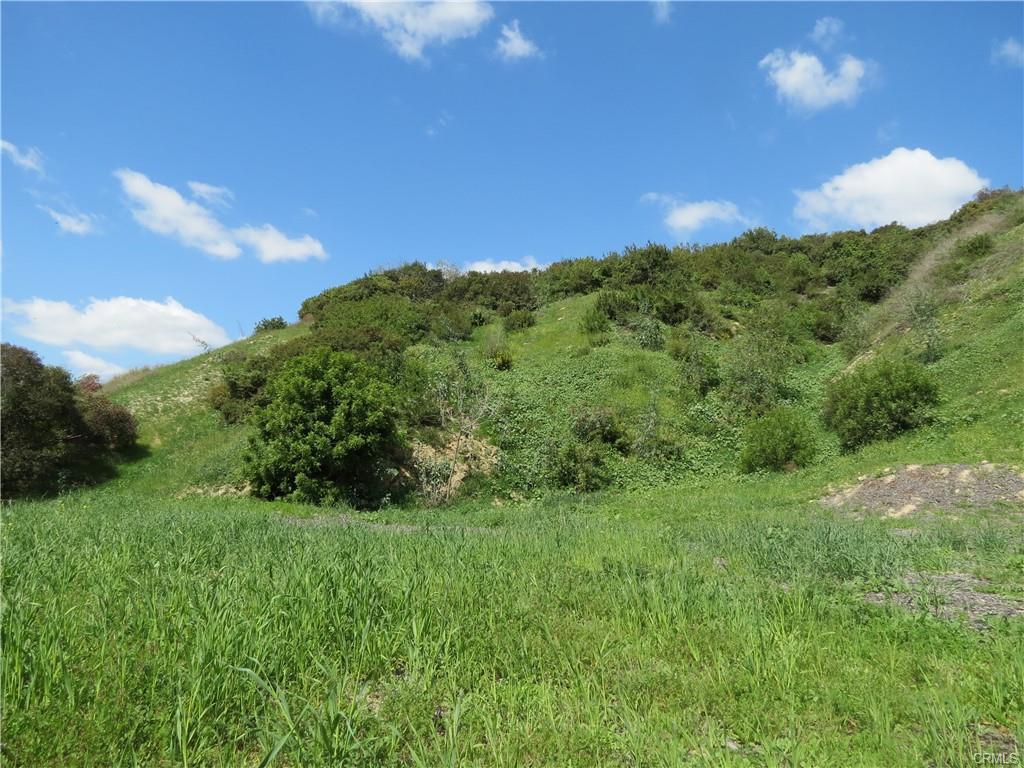 MOUNT WASHINGTON, California, 90065, United States, ,Residential,For Sale,1928534