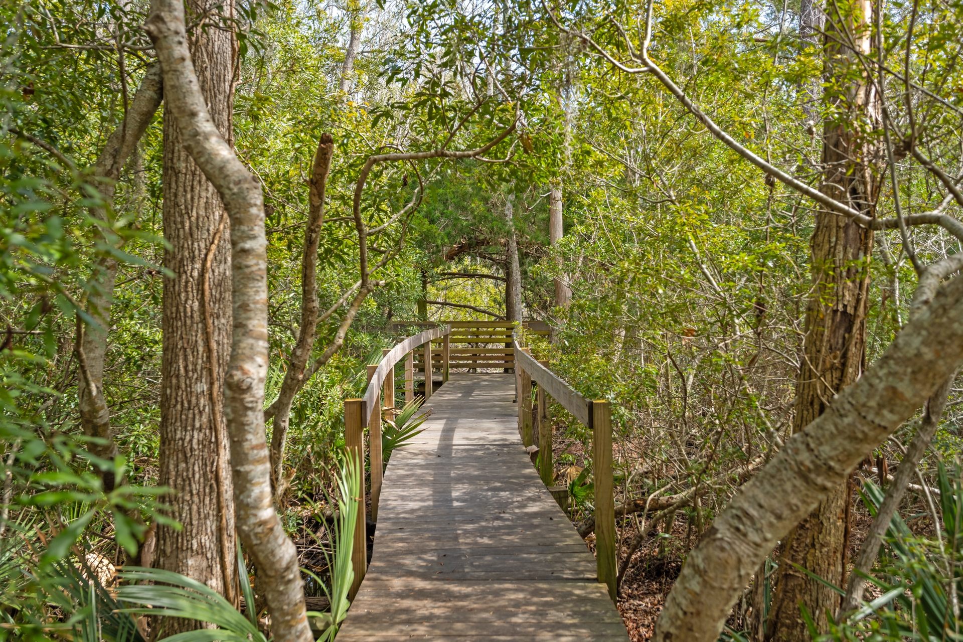  231 Watson Way  Pawleys Island, SC - 物件實景