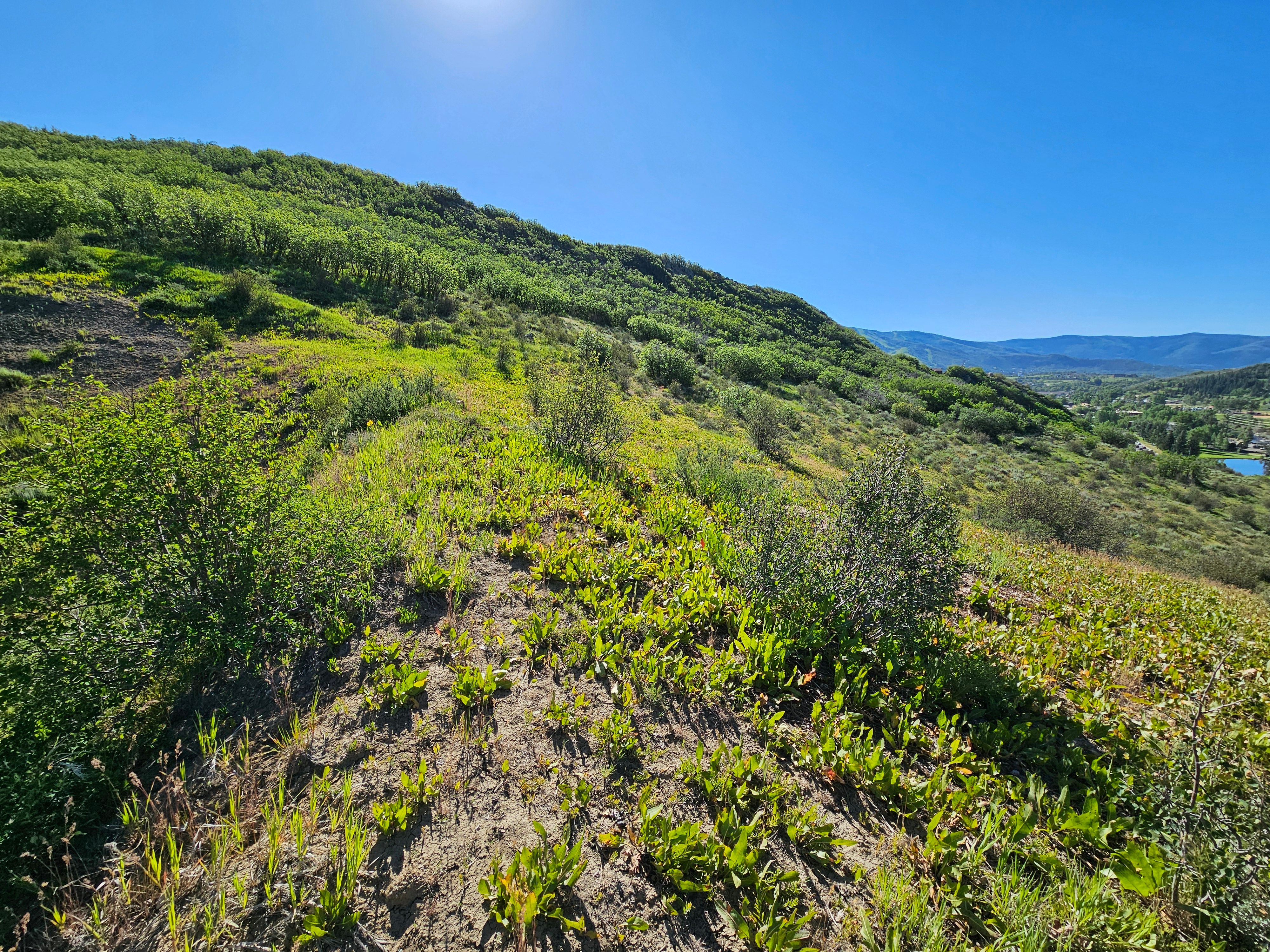  1327 Indian Trail, Steamboat Springs, CO, 80487 - 物件實景