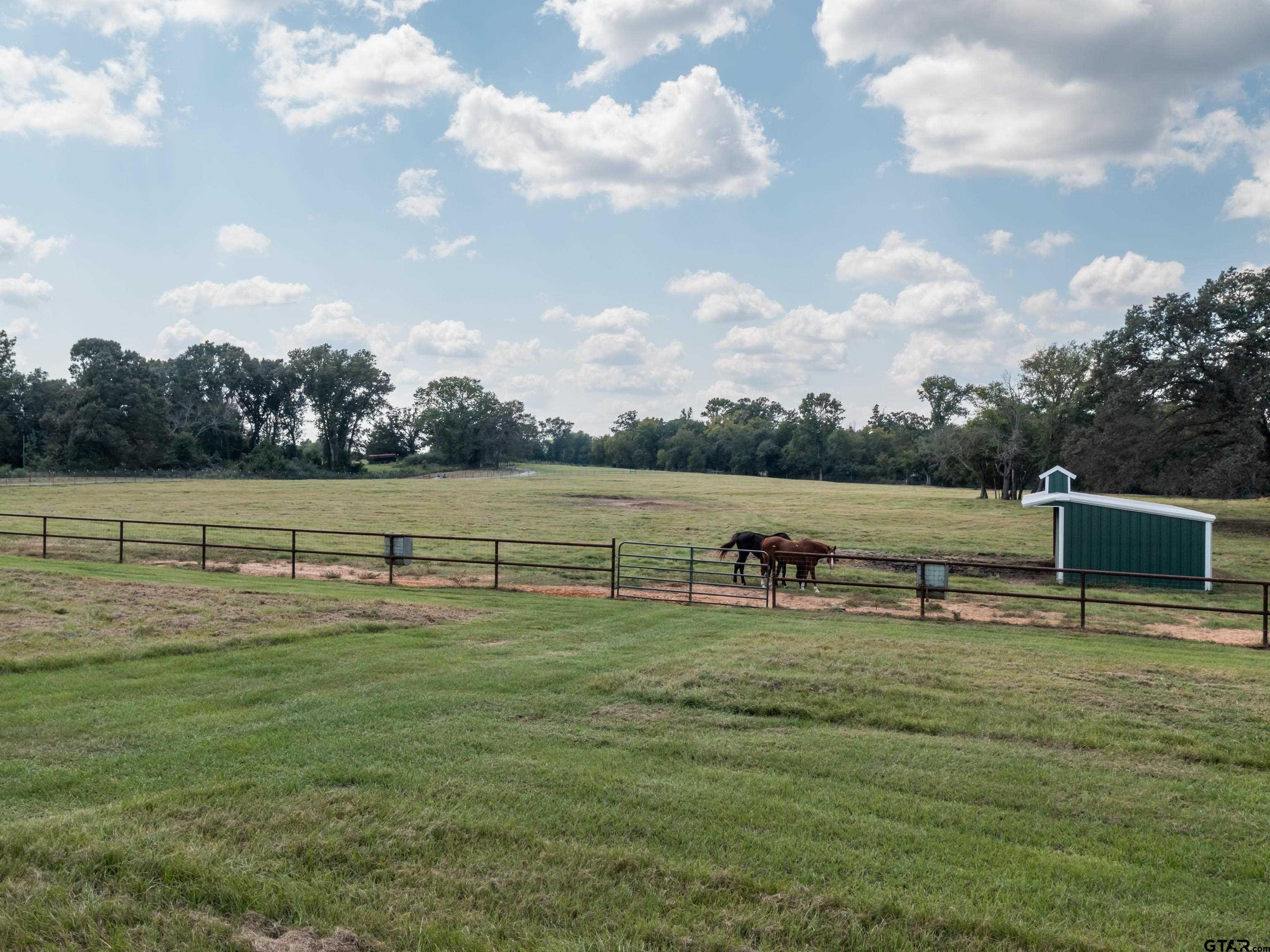 Whitehouse, Texas, 75791, United States, 4 Bedrooms Bedrooms, ,6 BathroomsBathrooms,Residential,For Sale,2002182