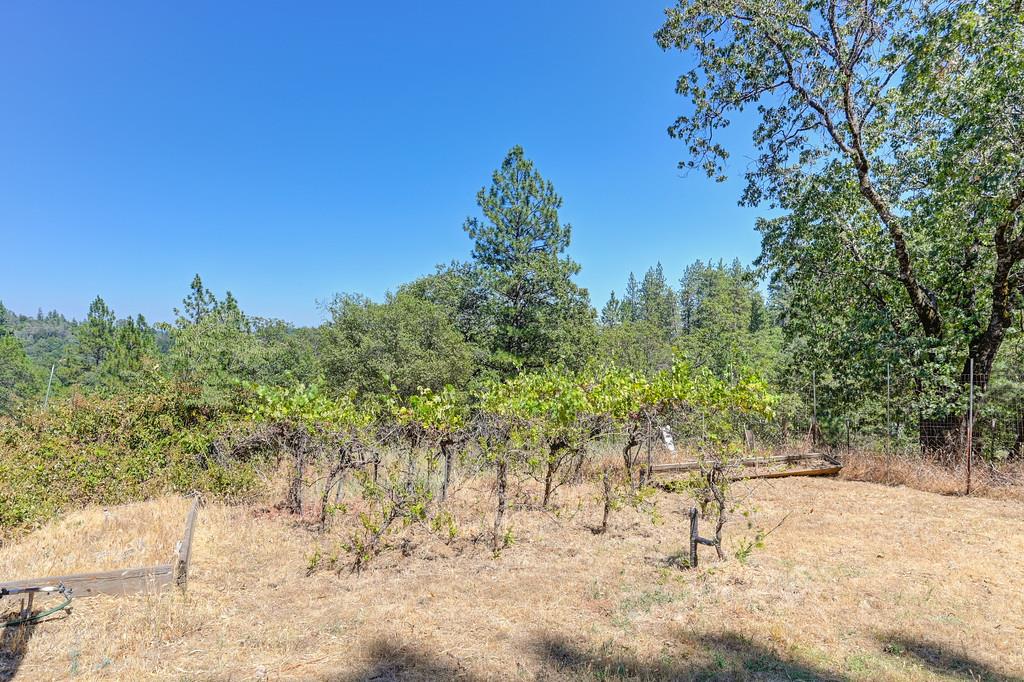 Applegate, California, 95703, United States, 3 Bedrooms Bedrooms, ,3 BathroomsBathrooms,Residential,For Sale,1912050