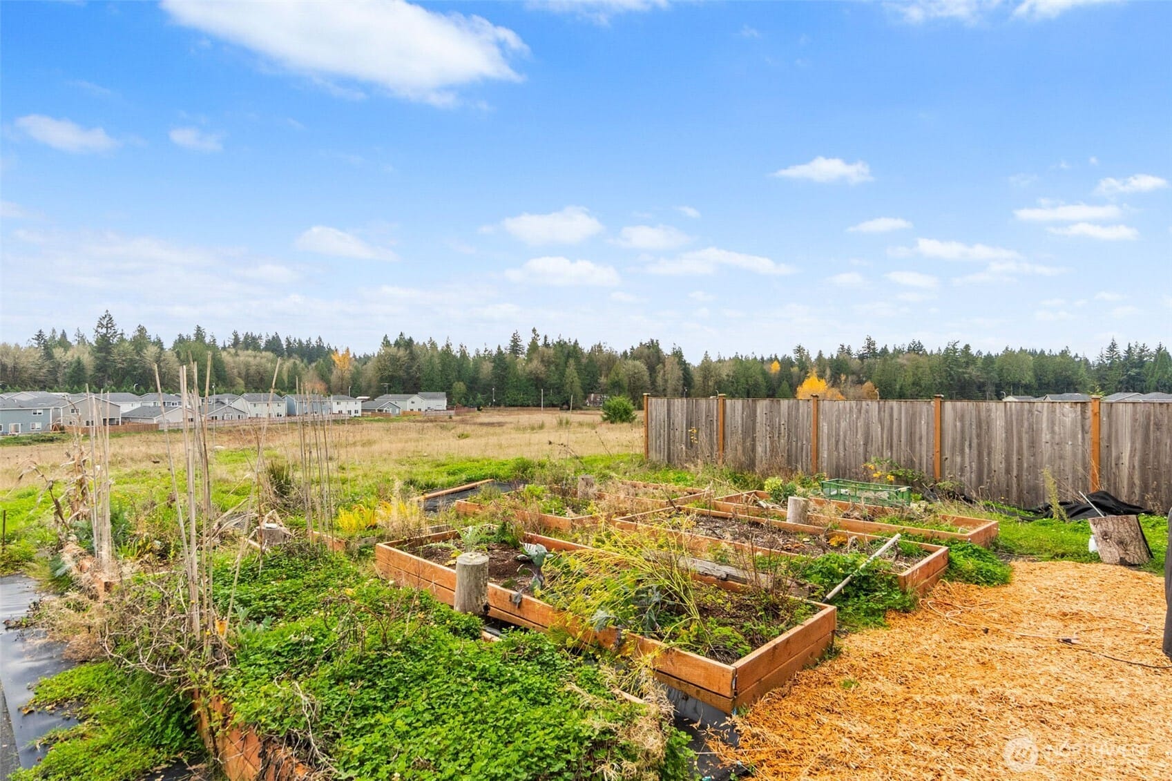 Olympia, Washington, 98501, United States, 4 Bedrooms Bedrooms, ,3 BathroomsBathrooms,Residential,For Sale,1997535