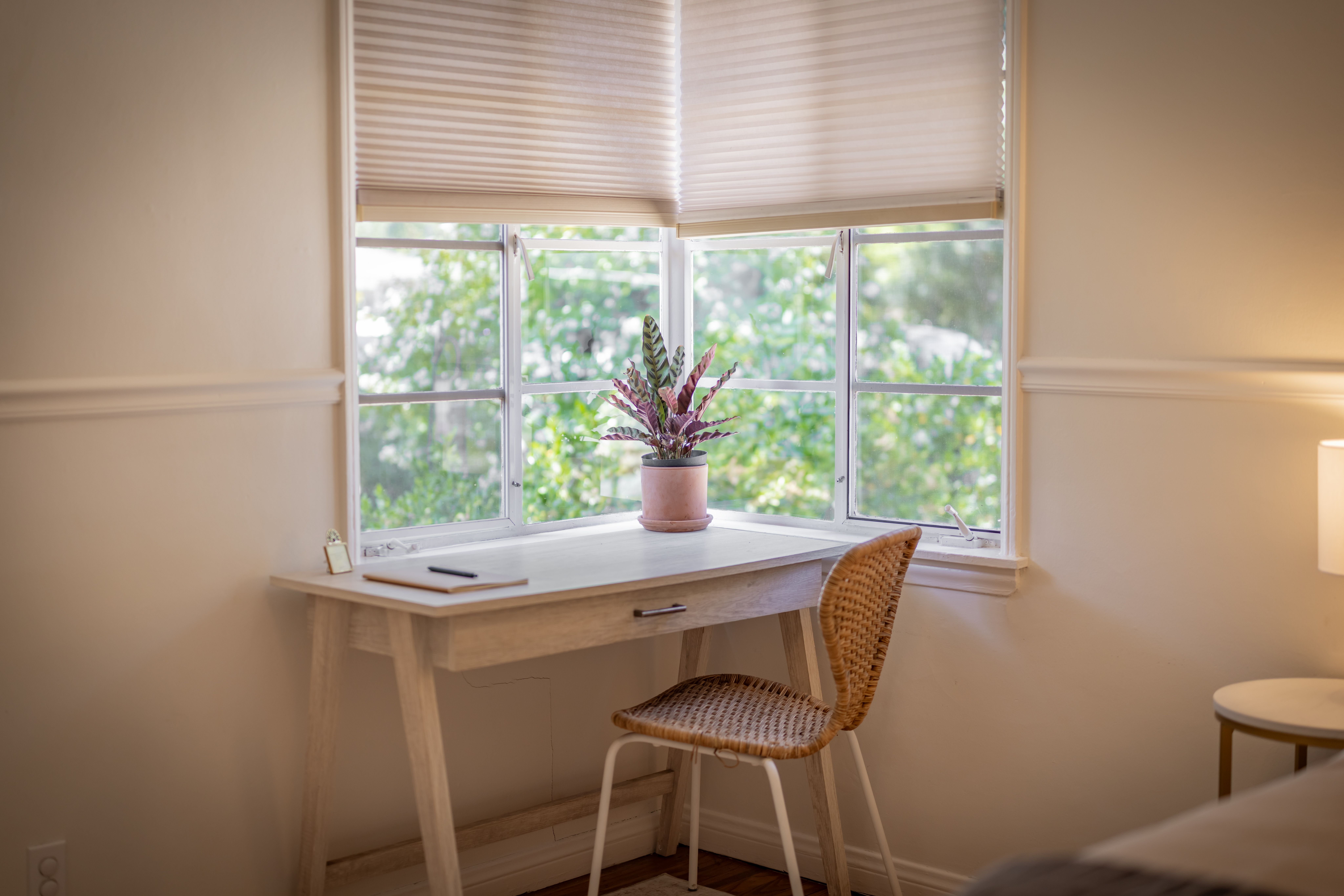  919 East Matilija Street, Ojai, CA 93023 - 物件實景