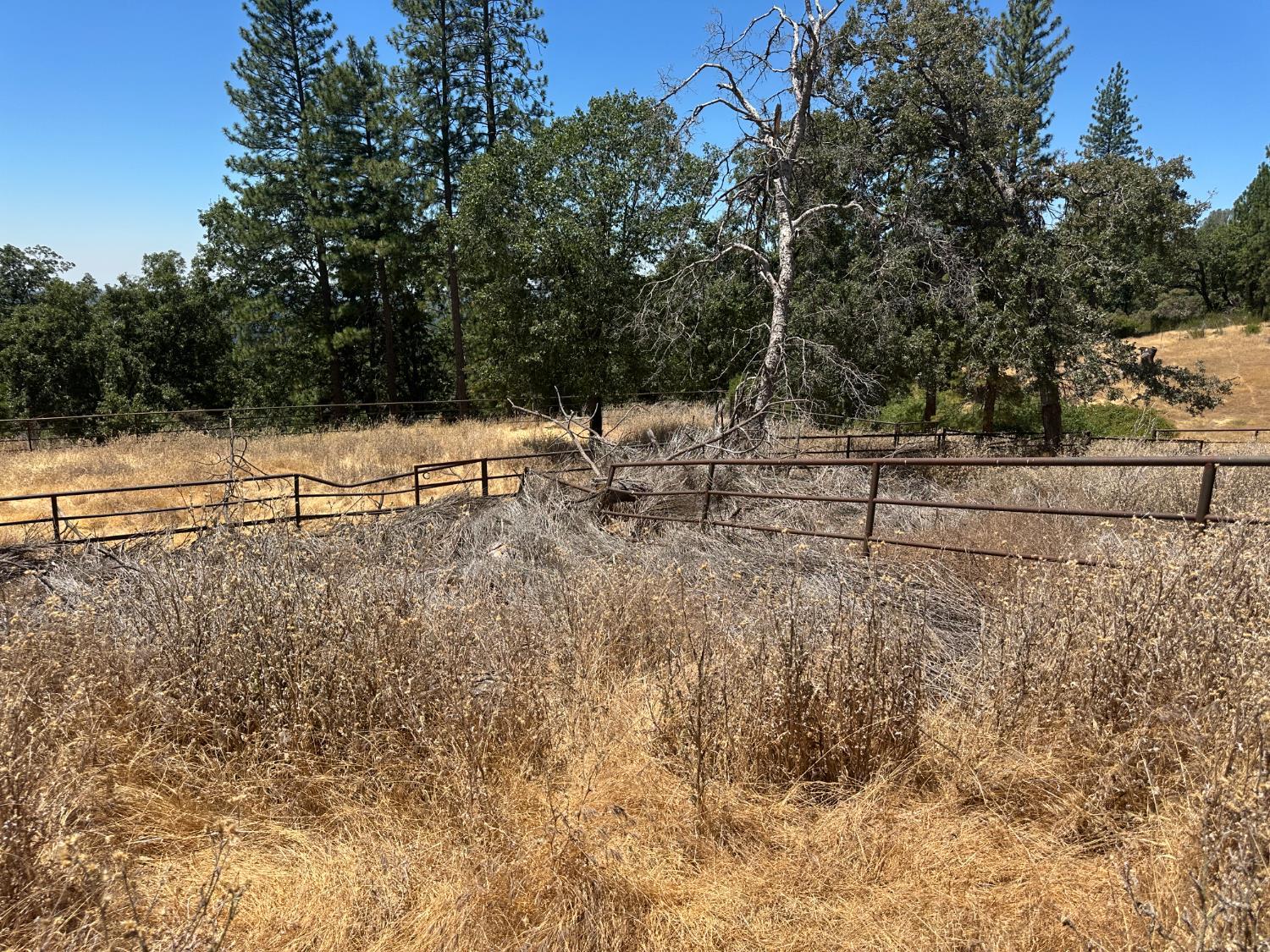 Georgetown, California, 95634, United States, ,Residential,For Sale,1943393