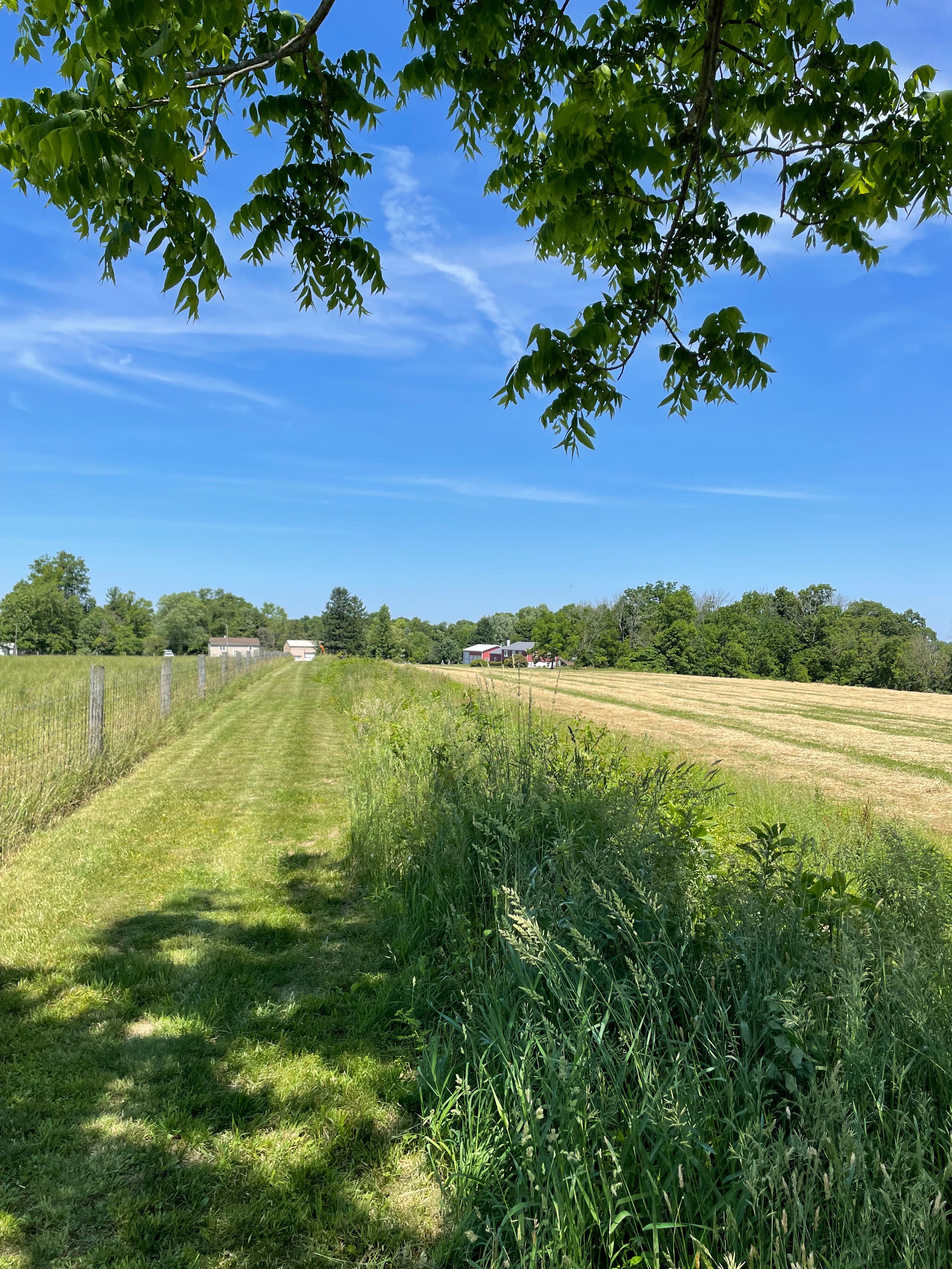  4099 Curly Hill Road, Doylestown, PA 18902 - 物件實景