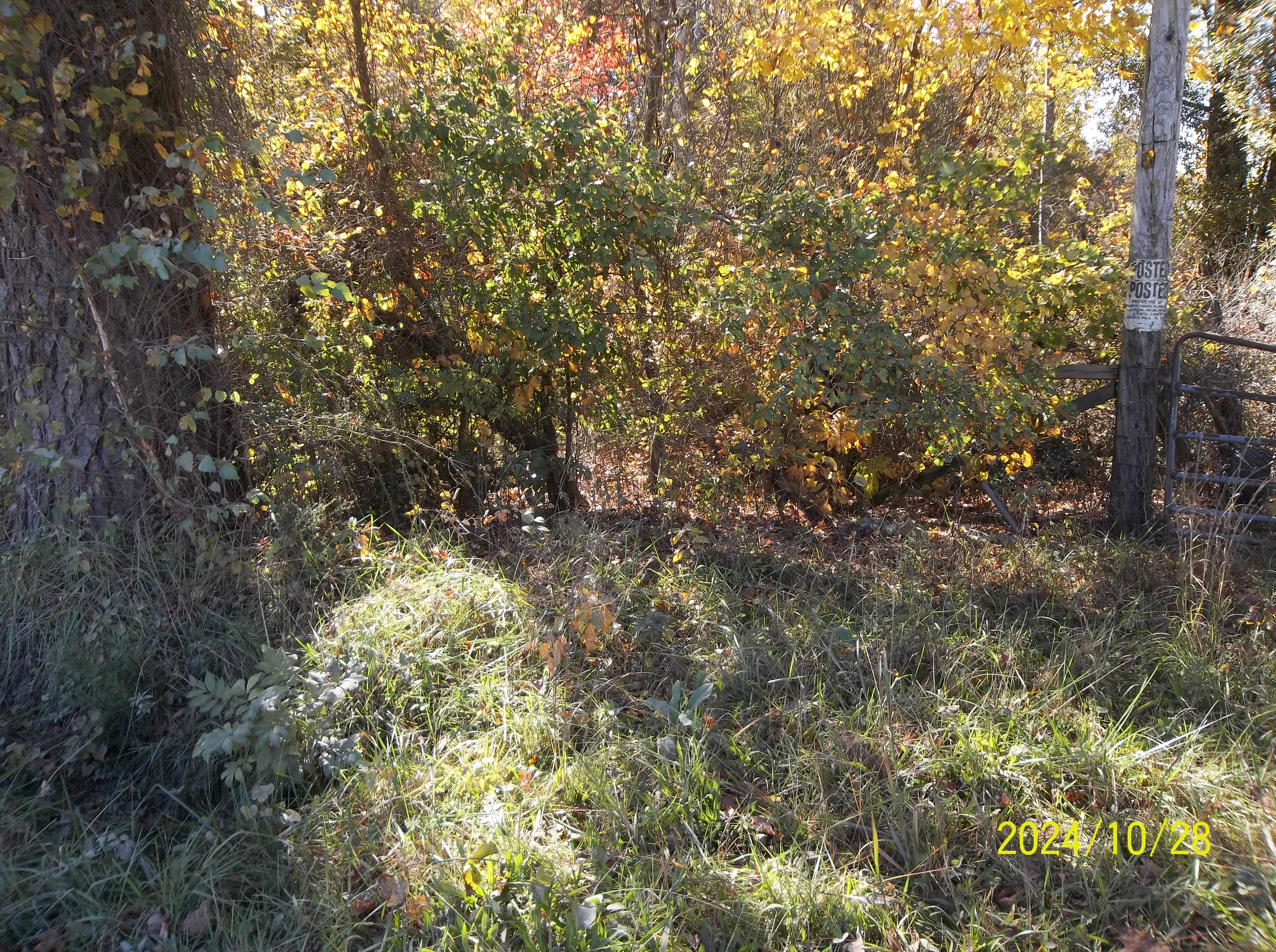 Drewryville, Virginia, 23844, United States, ,Residential,For Sale,1924271