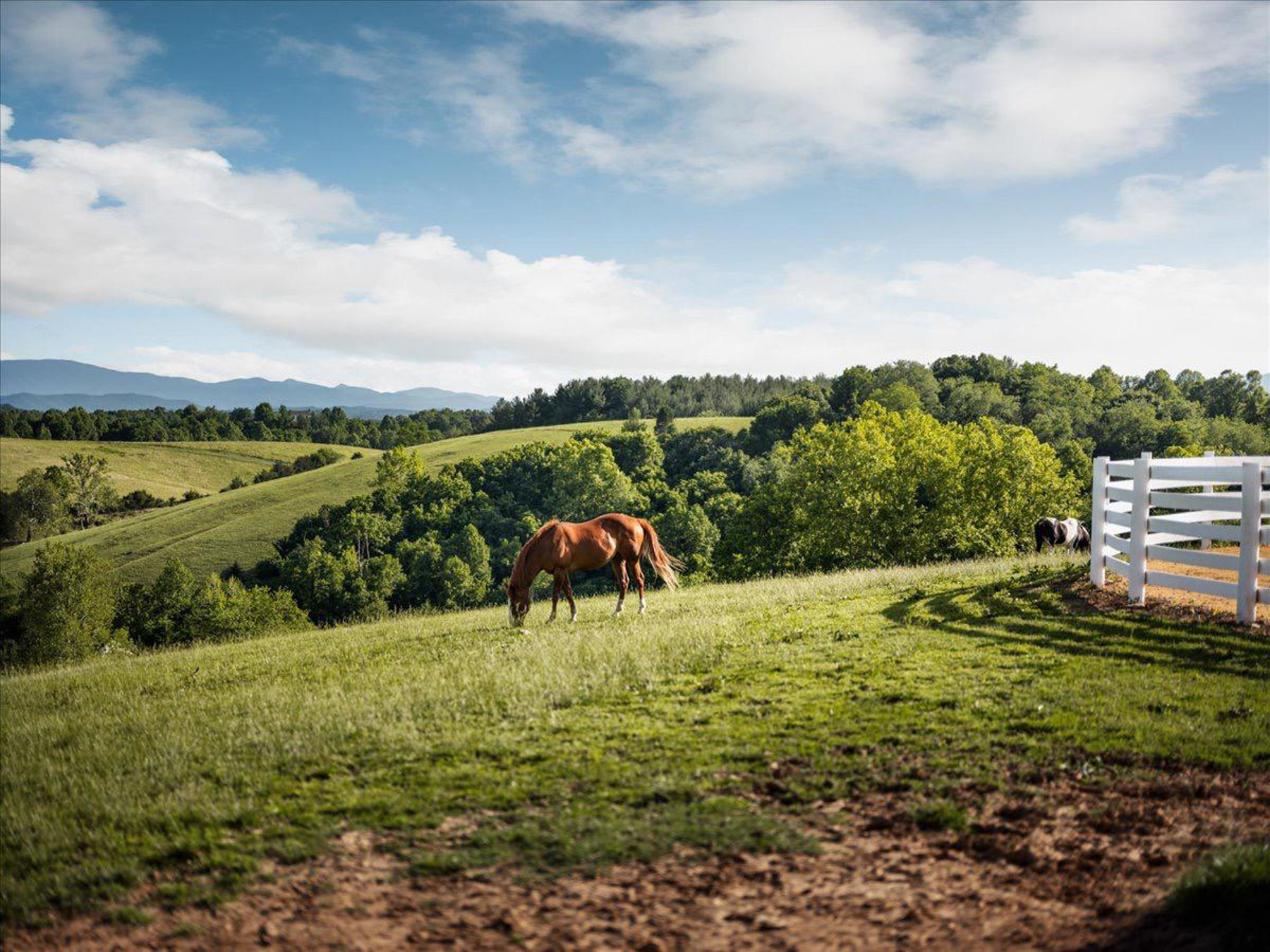  336 Jacobs Ladder, Lexington, VA, 24450 - 物件實景