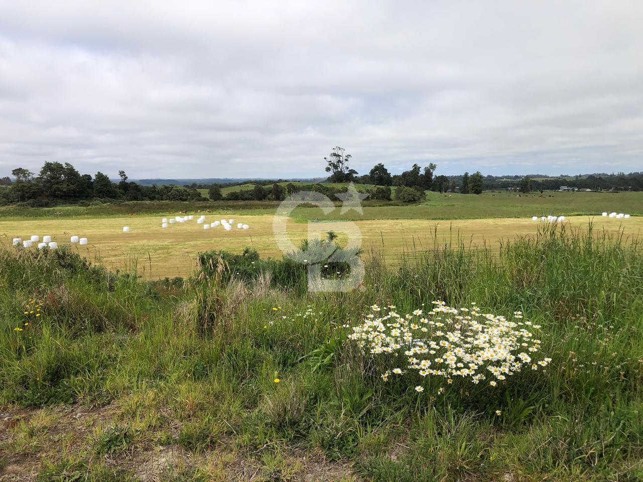 Puerto Varas, Chile, ,Residential,For Sale,2000984