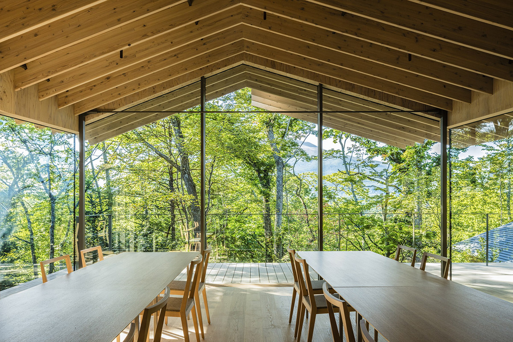  ROOF/BIRDS: Wild Bird Forest Lodge - 物件實景
