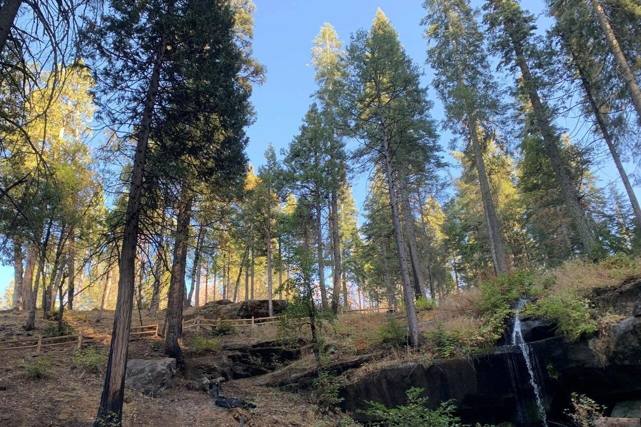 Yosemite, California, 95389, United States, ,Residential,For Sale,1791701