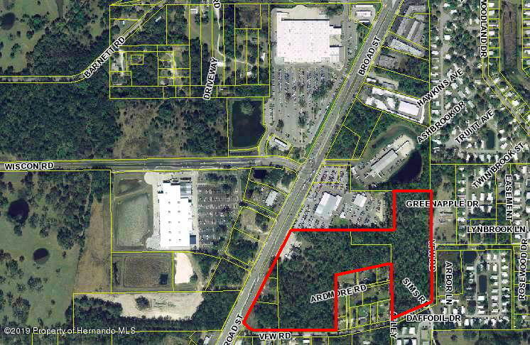 Brooksville, Florida, 34601, United States, ,Land,For Sale,1976976