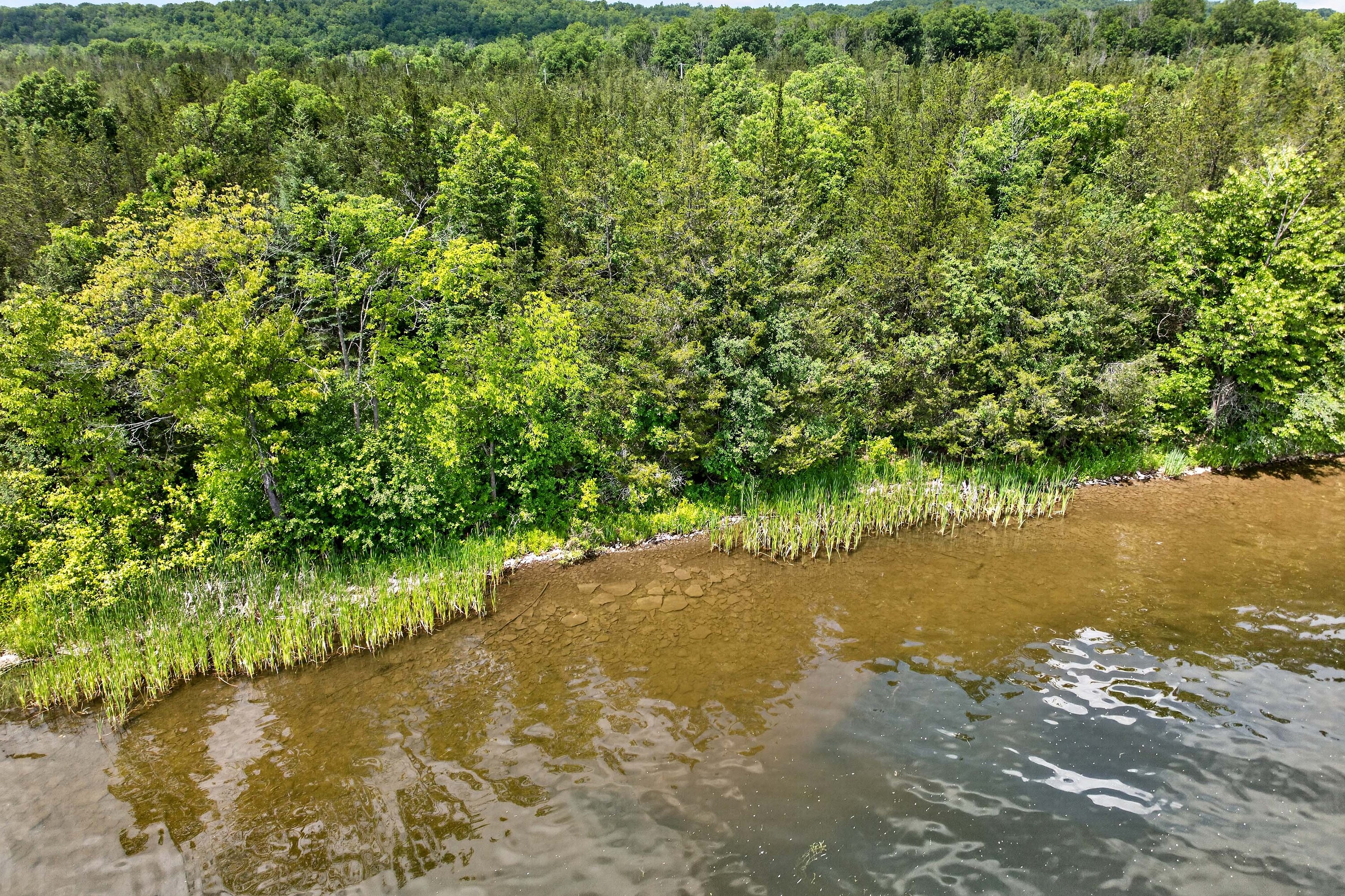  Trent Hills, Eastern Ontario - 物件實景
