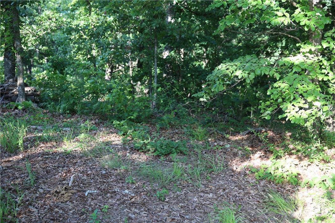 Kirkcudbright Ln, Bella Vista, AR 72715