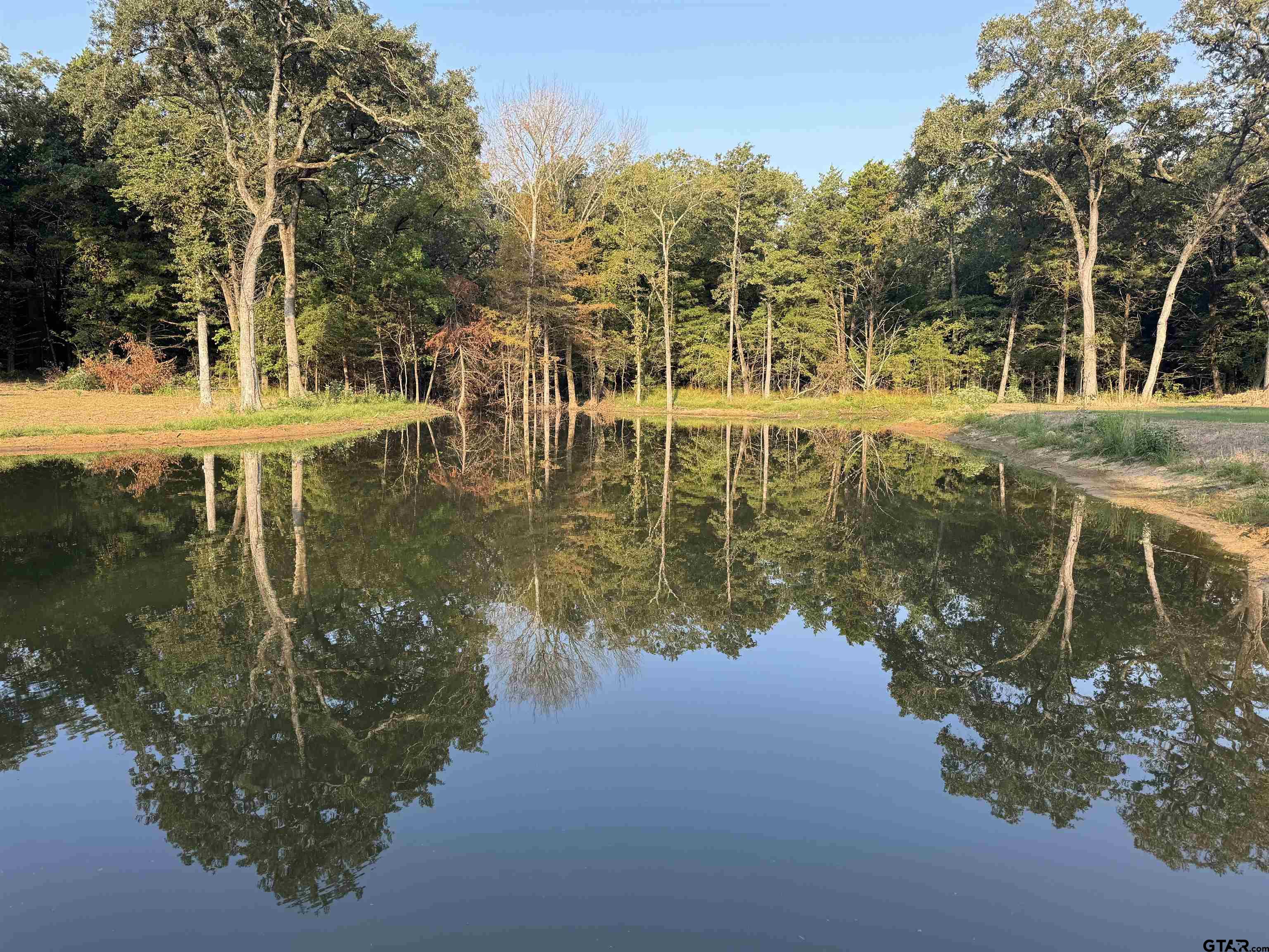 Cumby, Texas, 75433, United States, ,Land,For Sale,1974117