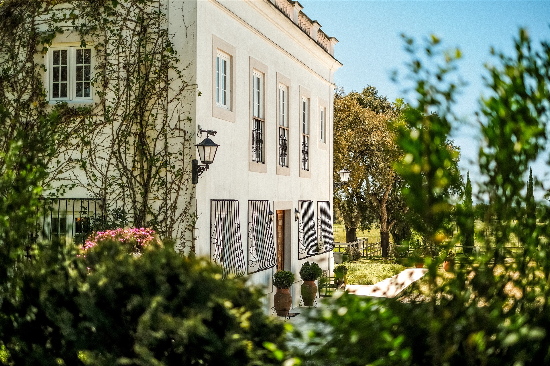  Country Estate, 6 bedrooms, for Sale - 物件實景