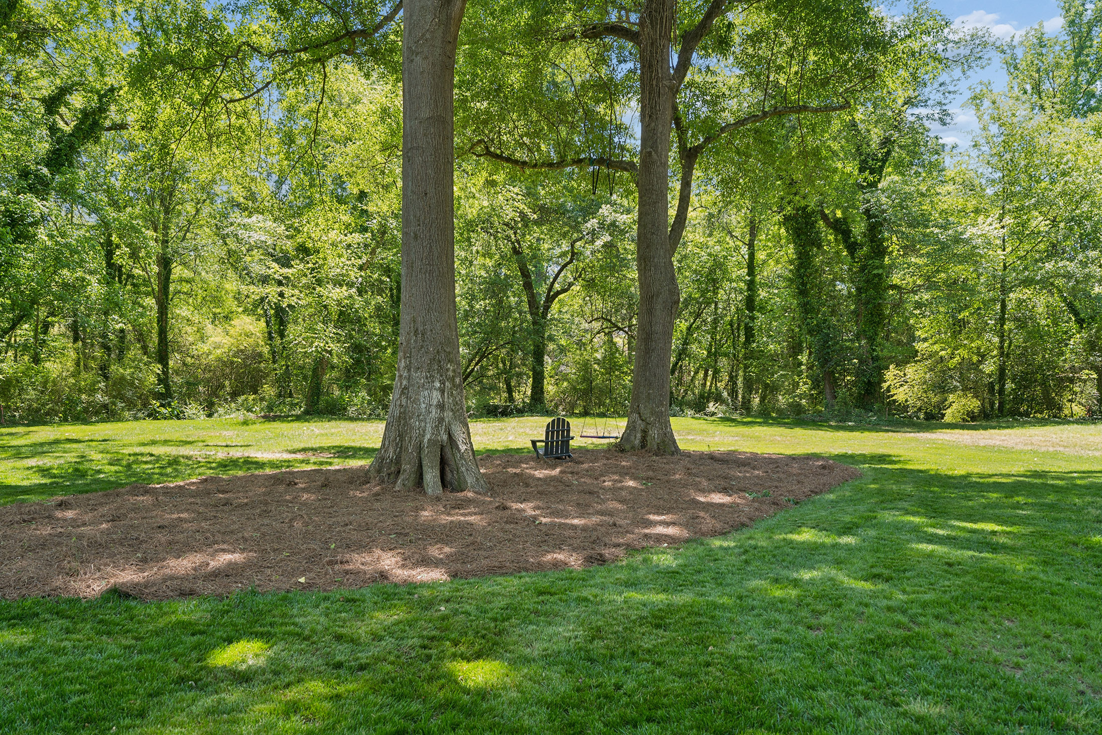  Completely Renovated with an Incredible Backyard, Close to Smyrna Village - 物件實景