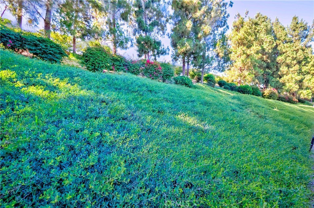 Aliso Viejo, California, 92656, United States, 2 Bedrooms Bedrooms, ,2 BathroomsBathrooms,Residential,For Sale,1901235