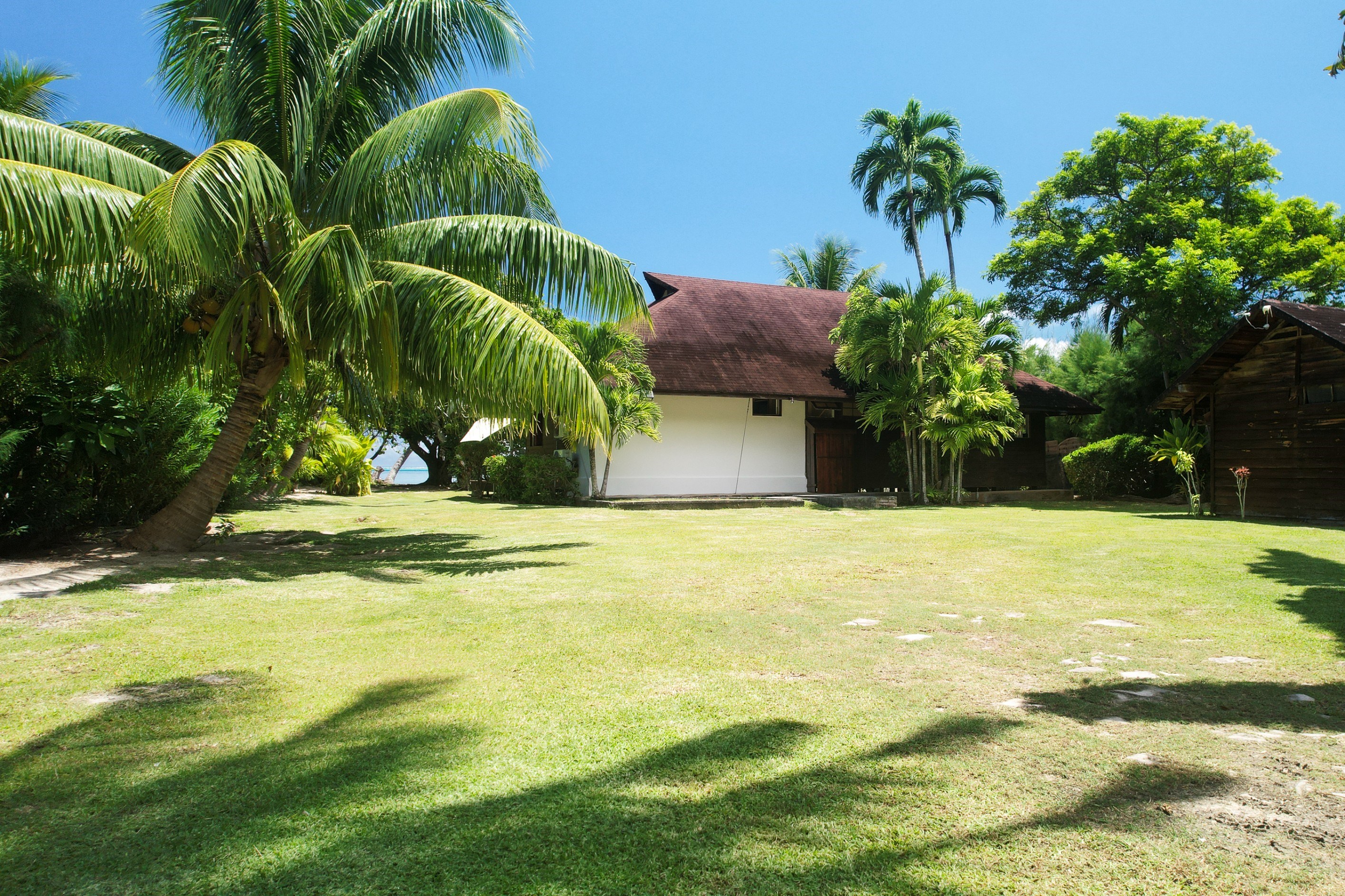  Moorea - Haapiti - Property on the lagoon shore - 物件實景