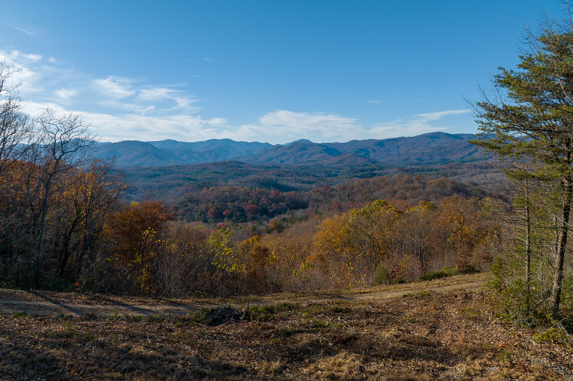 Union Mills, North Carolina, 28167, United States, ,Residential,For Sale,1791554